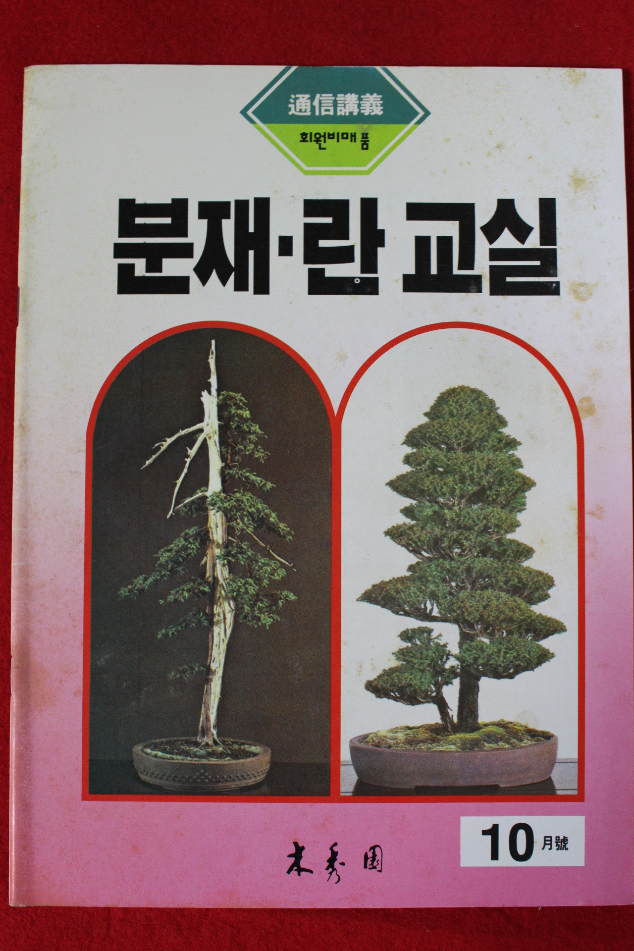 분재.란교실 10월호