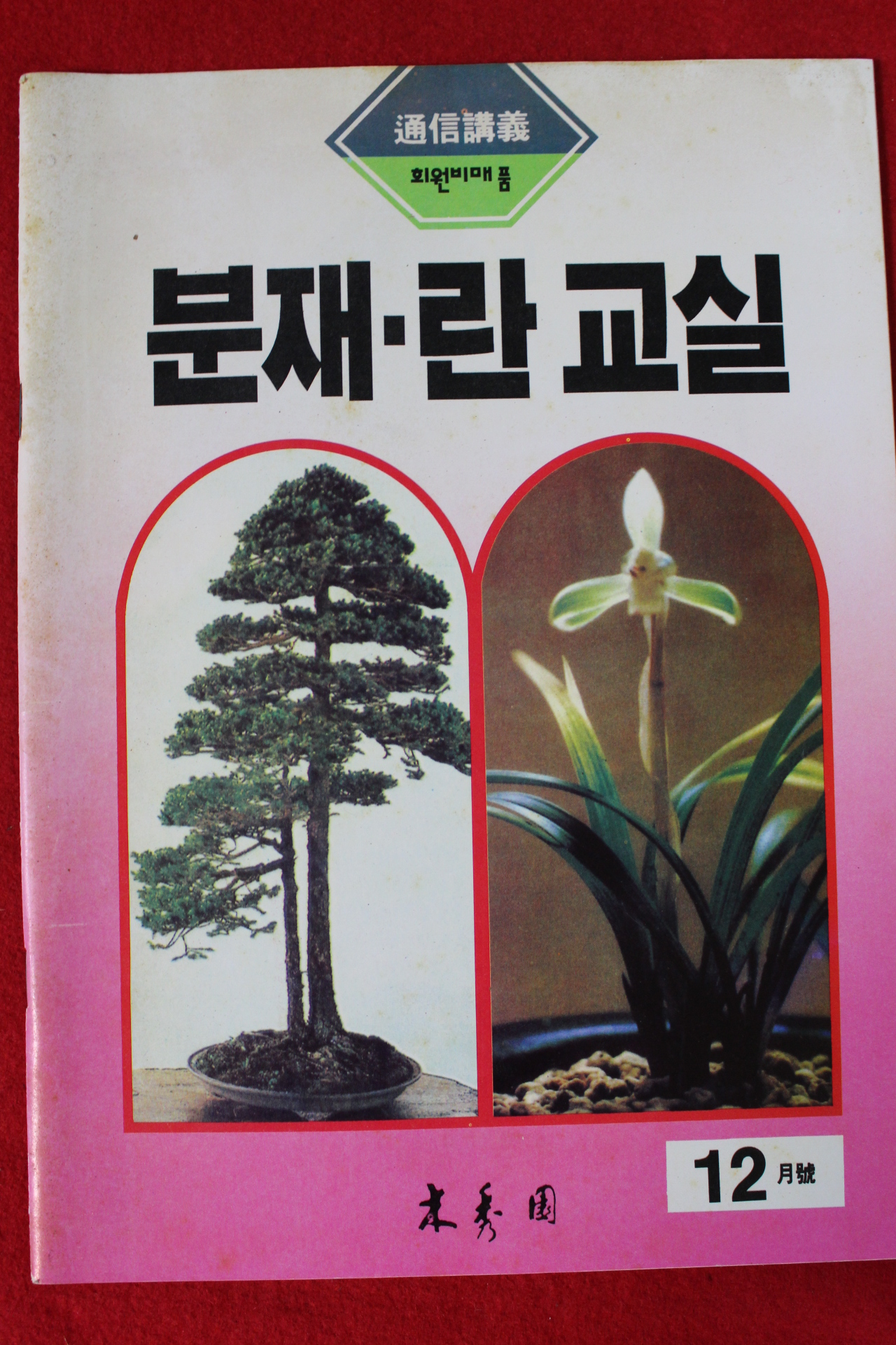 분재.란교실 12월호