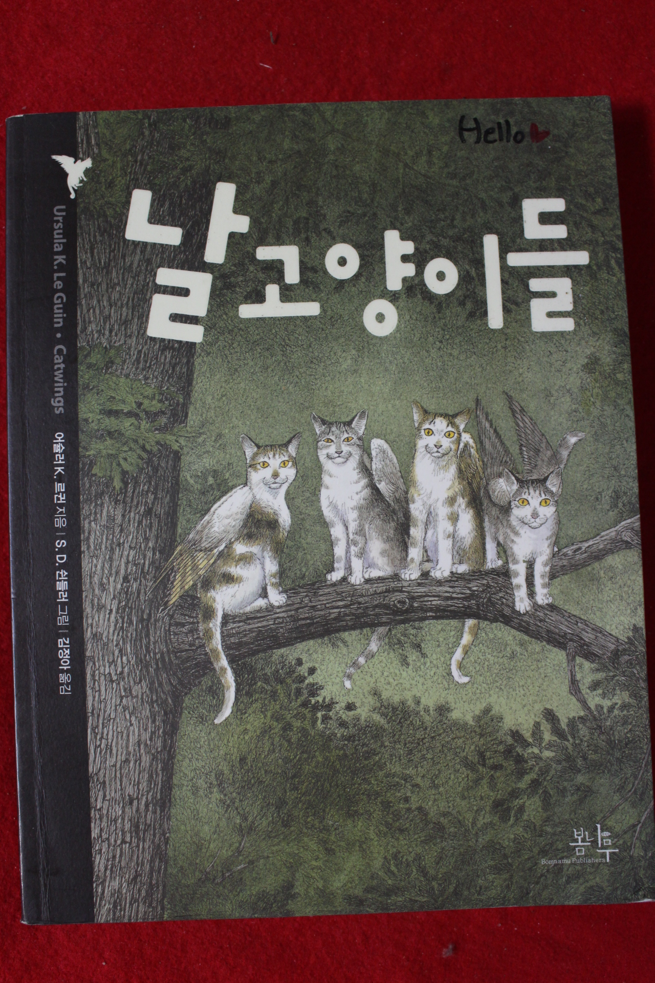 2011년 날고양이들