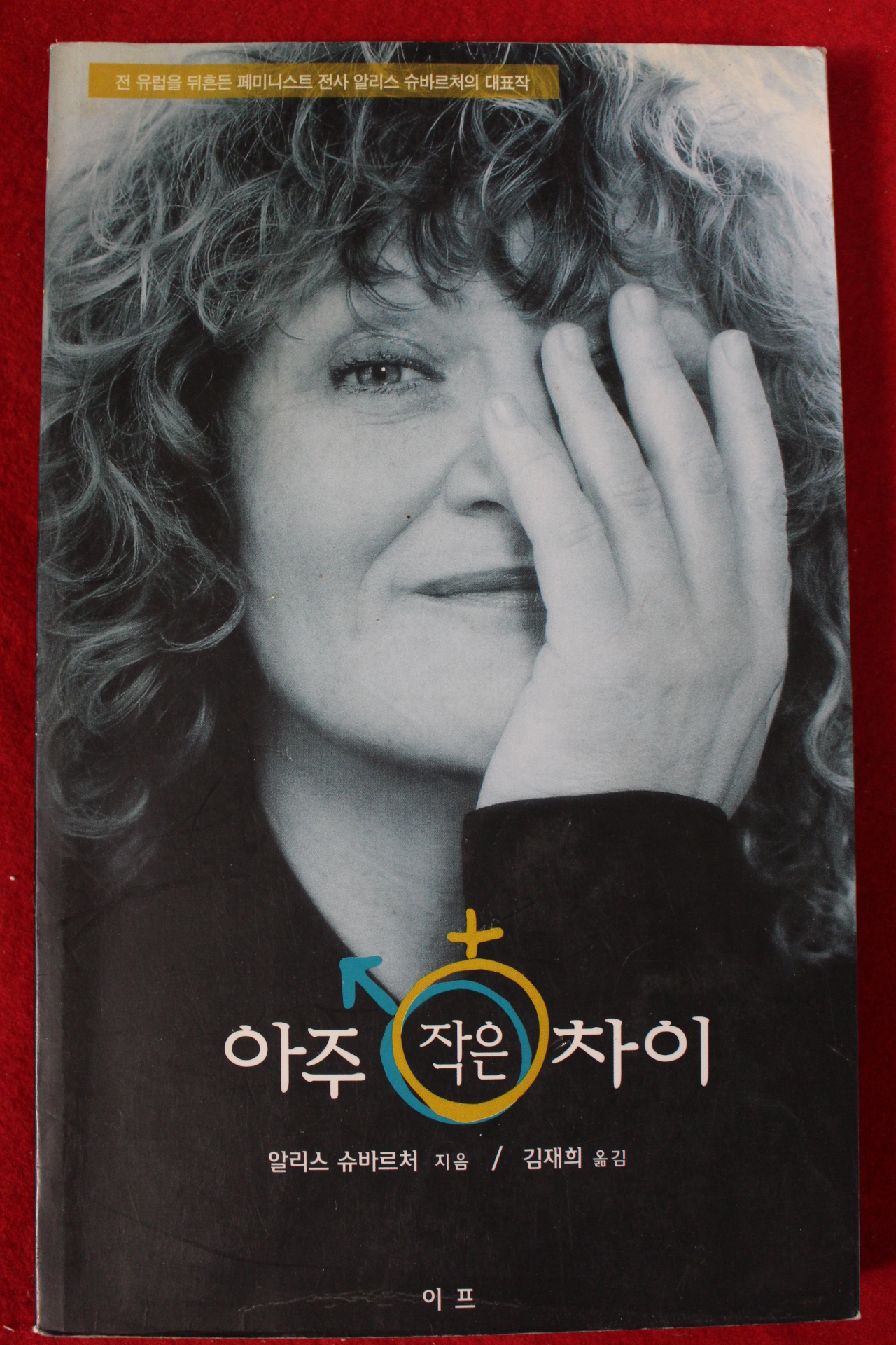 2002년 알리스 슈바르처 김재희옮김 아주 작은차이