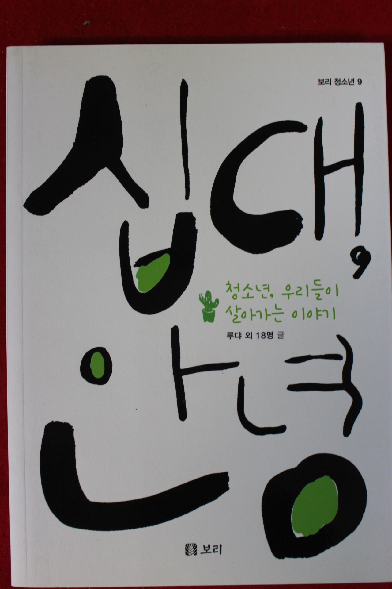 2015년초판 루댜외 십대 안녕