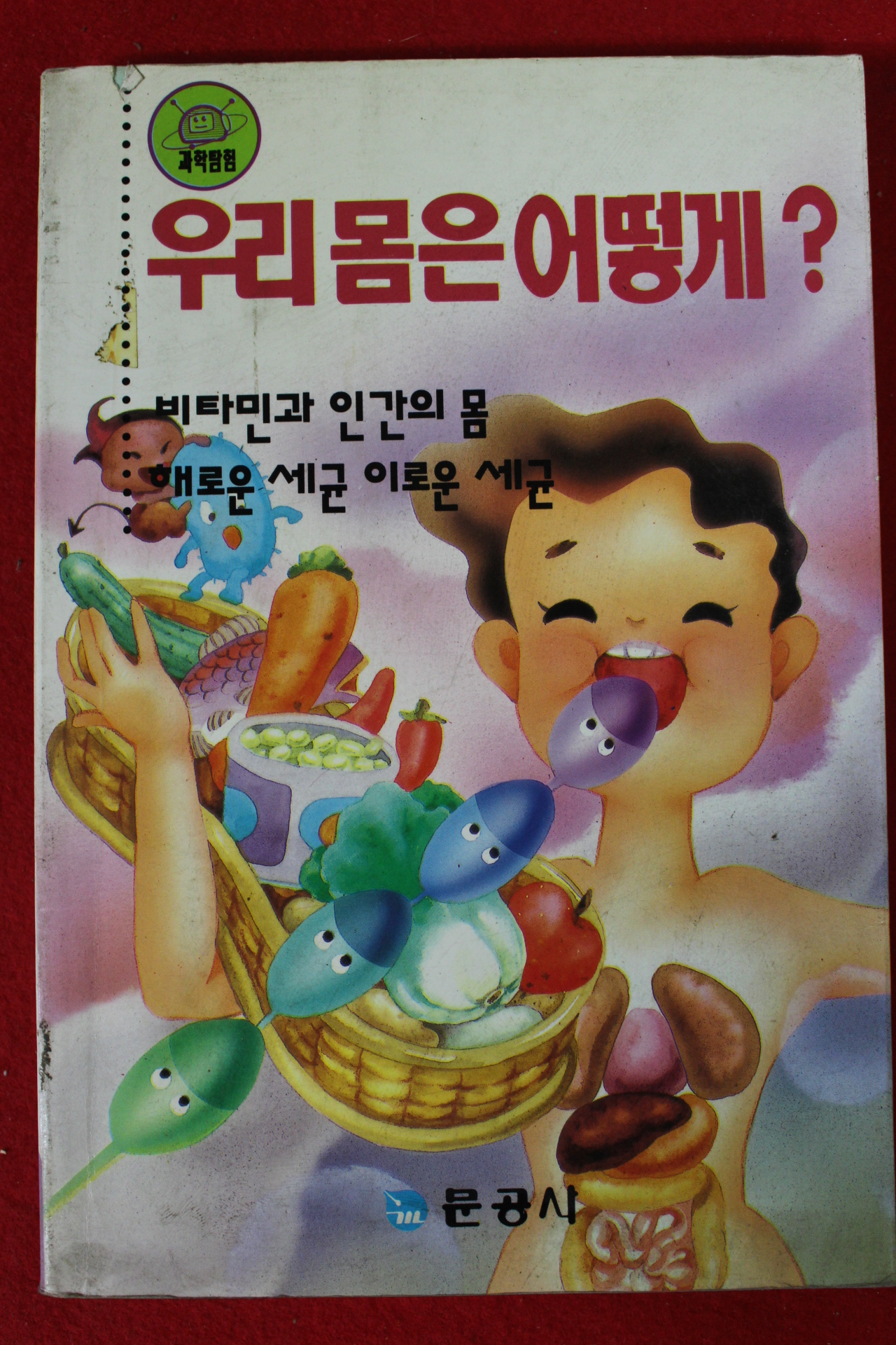 1994년 우리몸은 어떻게