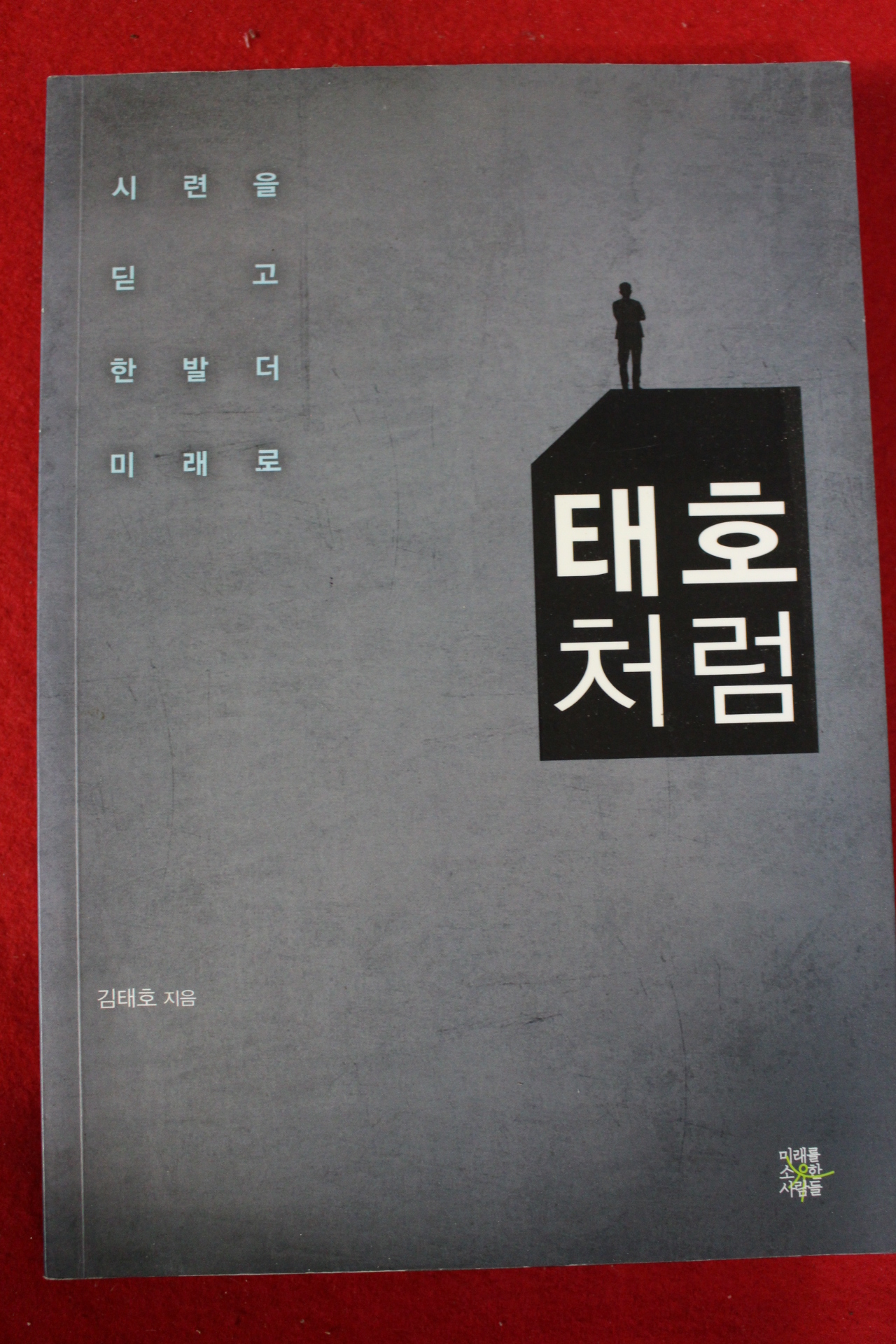 2014년 김태호 태호처럼(저자싸인본)