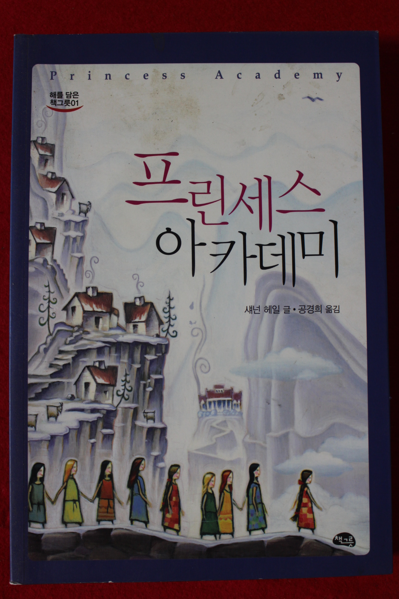 2007년 새넌 헤일 프린세스 아카데미