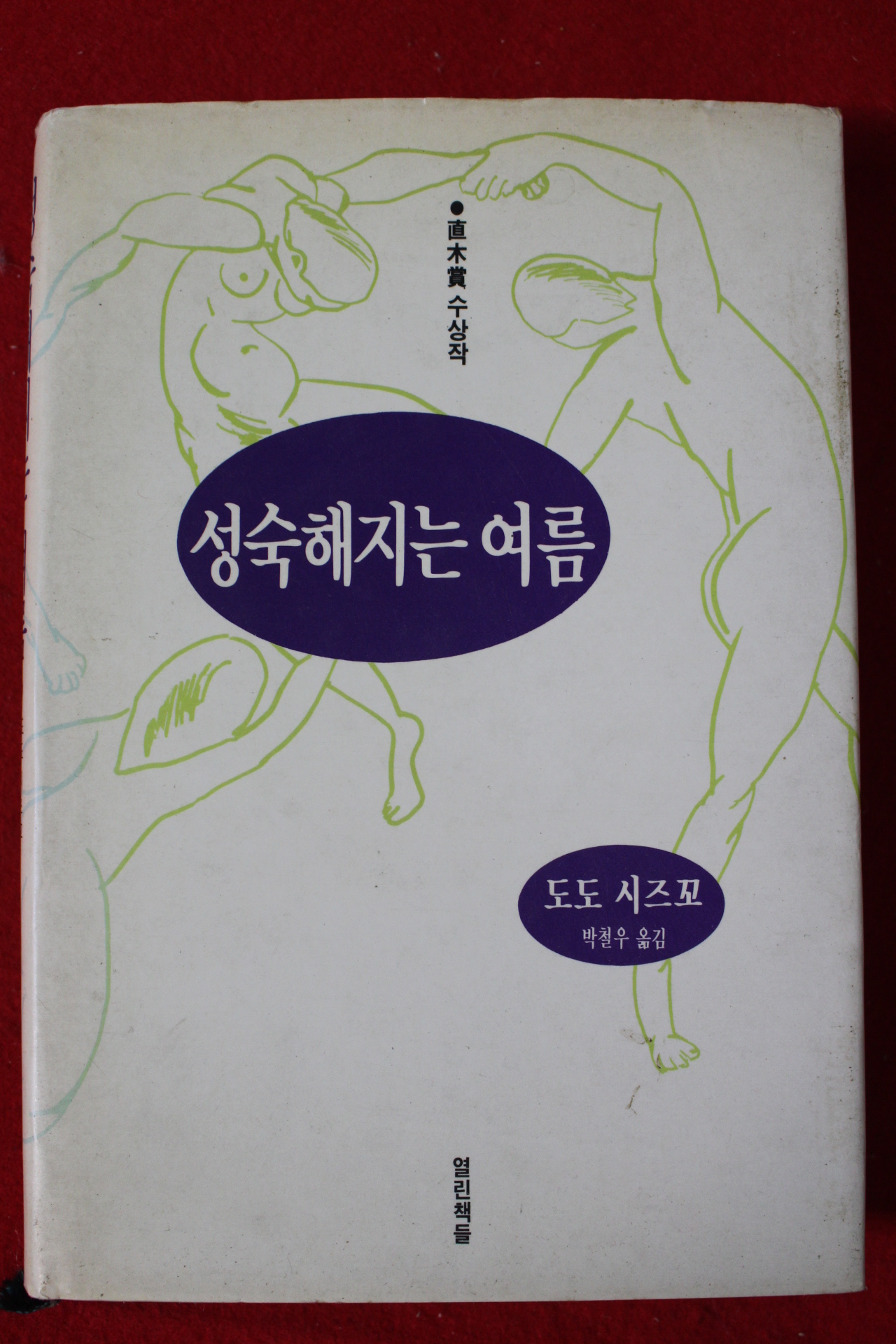 1989년초판 도도 시즈꼬 성숙해지는 여름