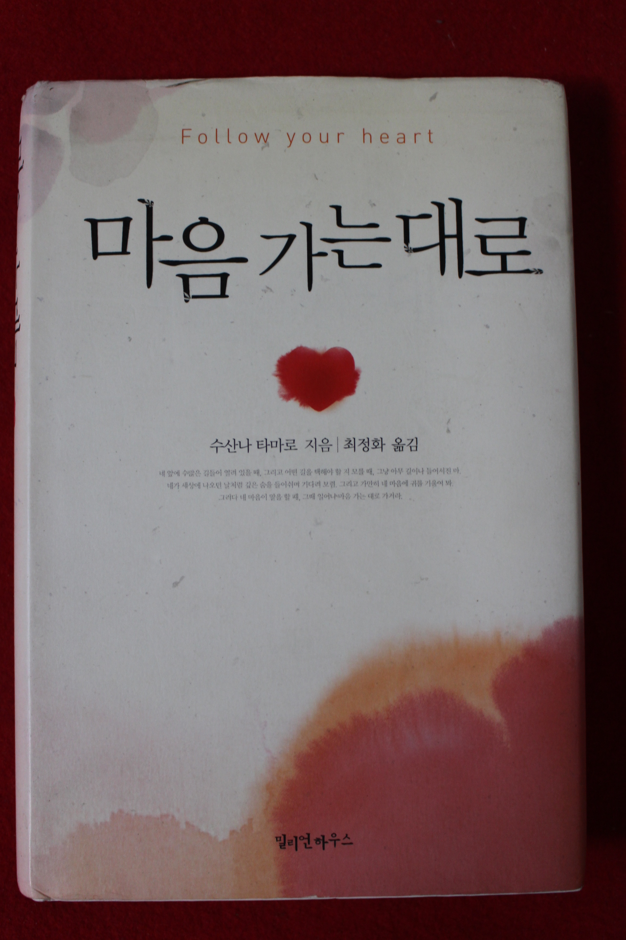 2009년 수산나 타마로 최정화옮김 마음 가는대로