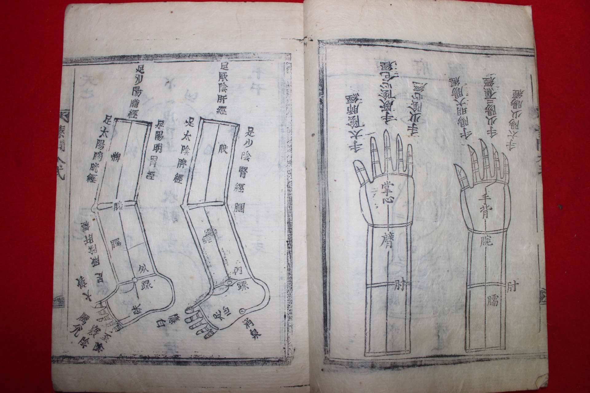 1906년 목활자본 이규준(李圭晙)편 황제내경소문대요(黃帝內經素問大要)권1,2  1책