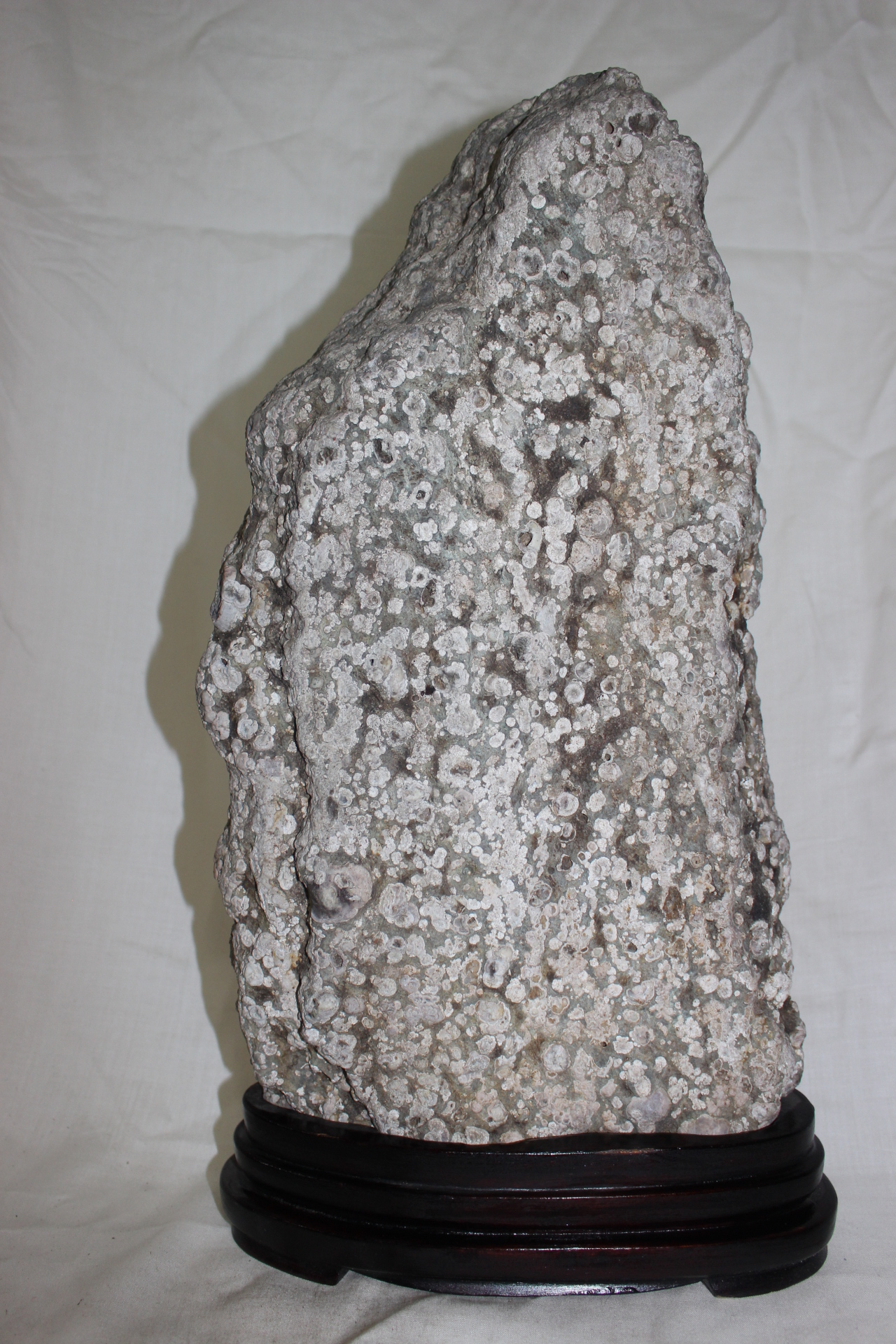 486-자연석 수석 매화석