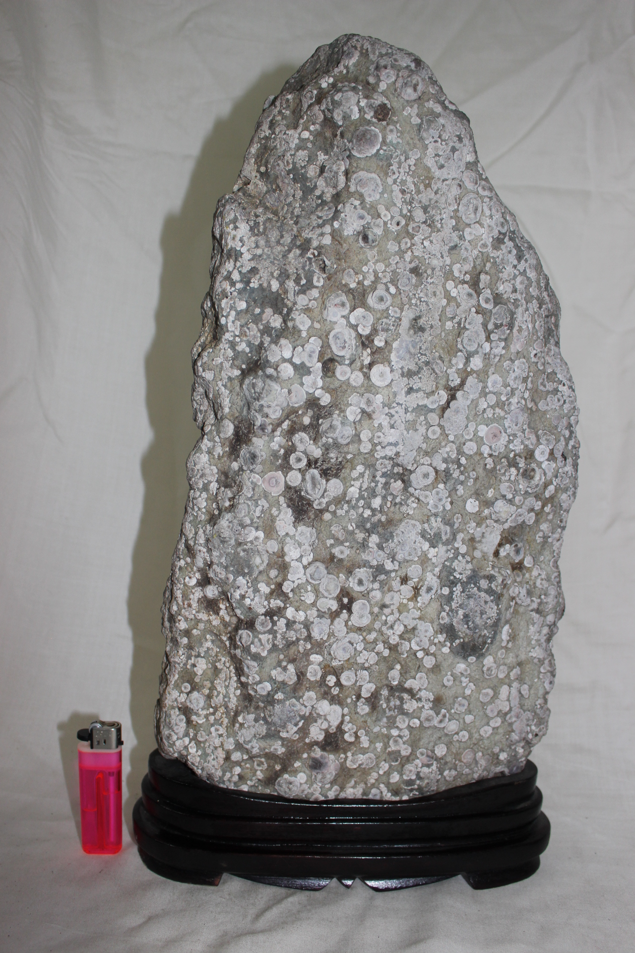 486-자연석 수석 매화석