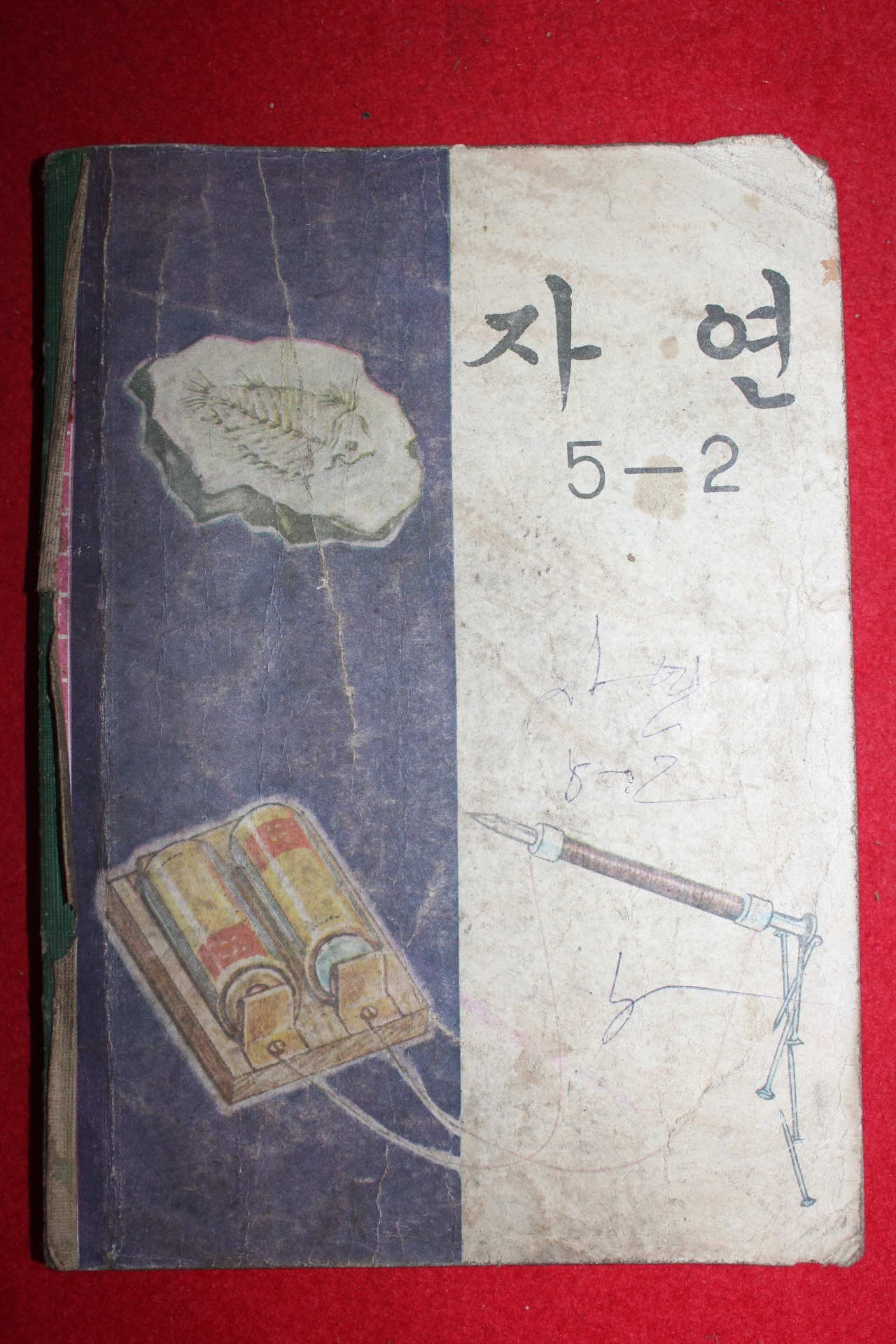 1968년 자연 5-2