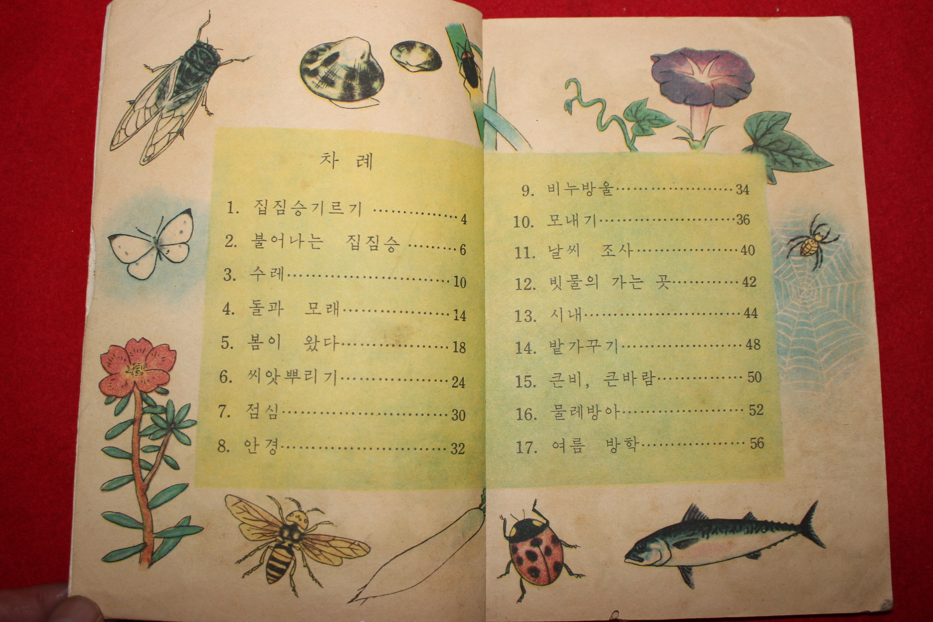 1963년 자연 2-1