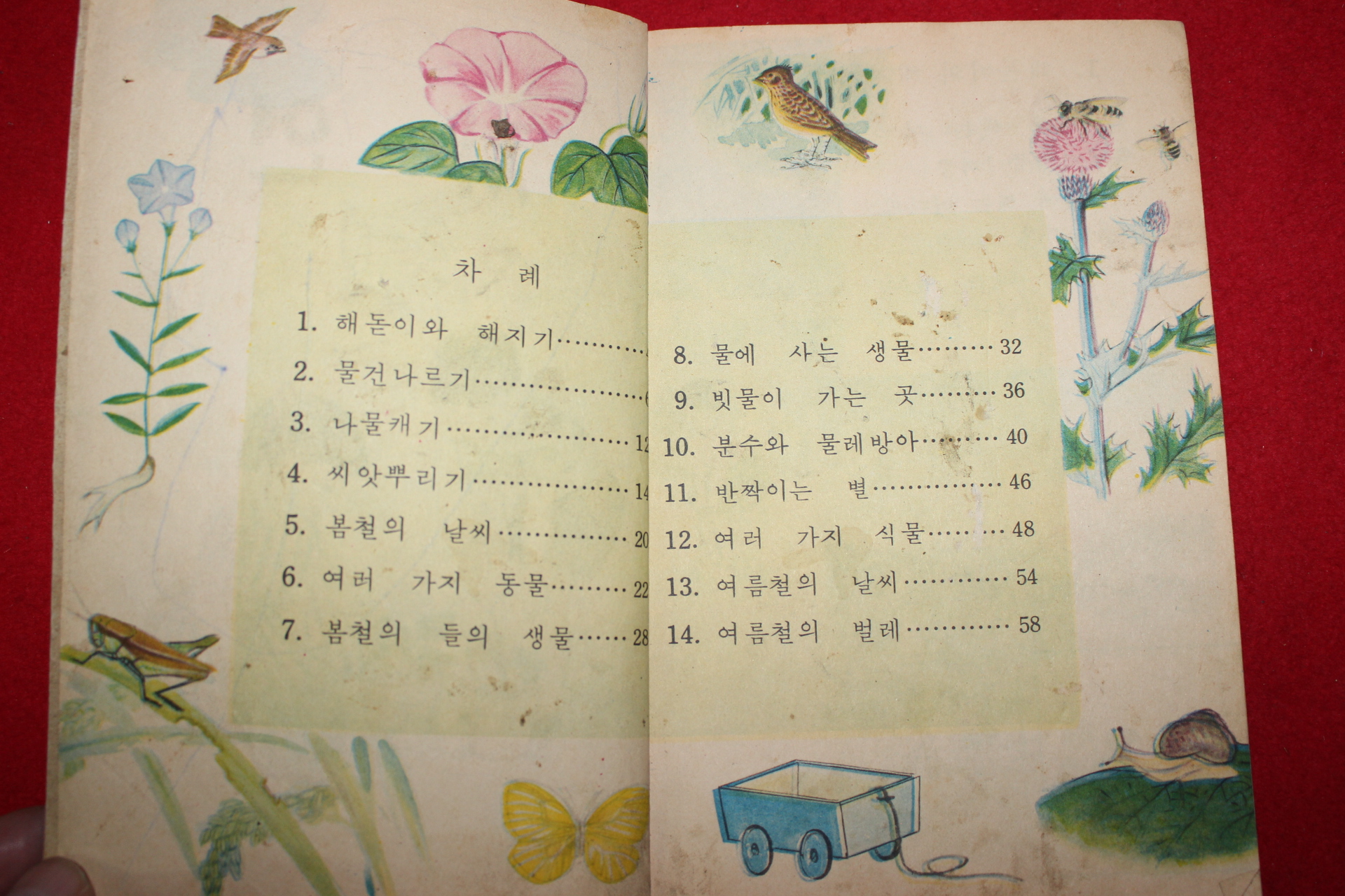 1970년 자연 2-1