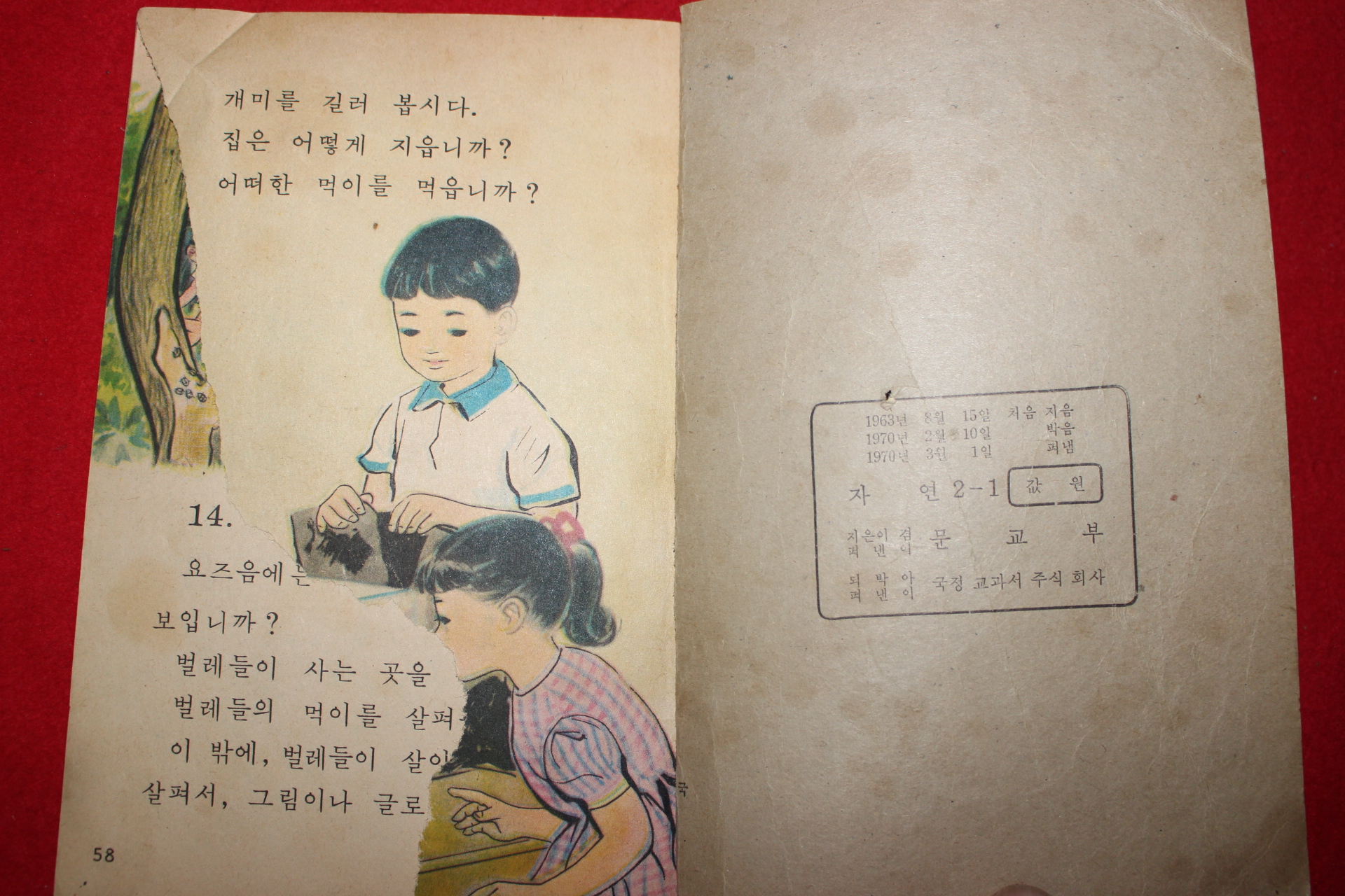 1970년 자연 2-1