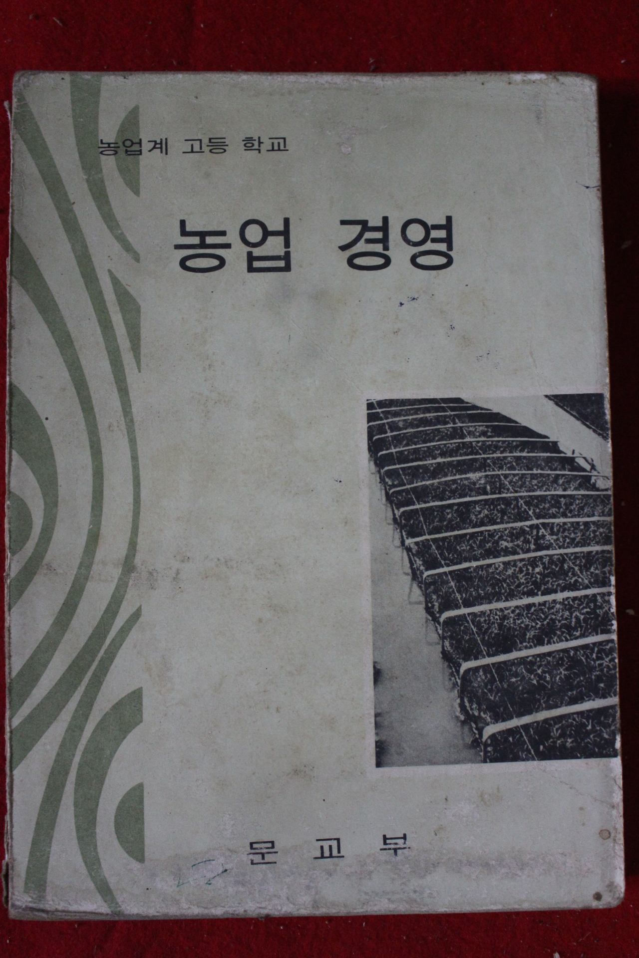 1976년 고등학교 농업경영