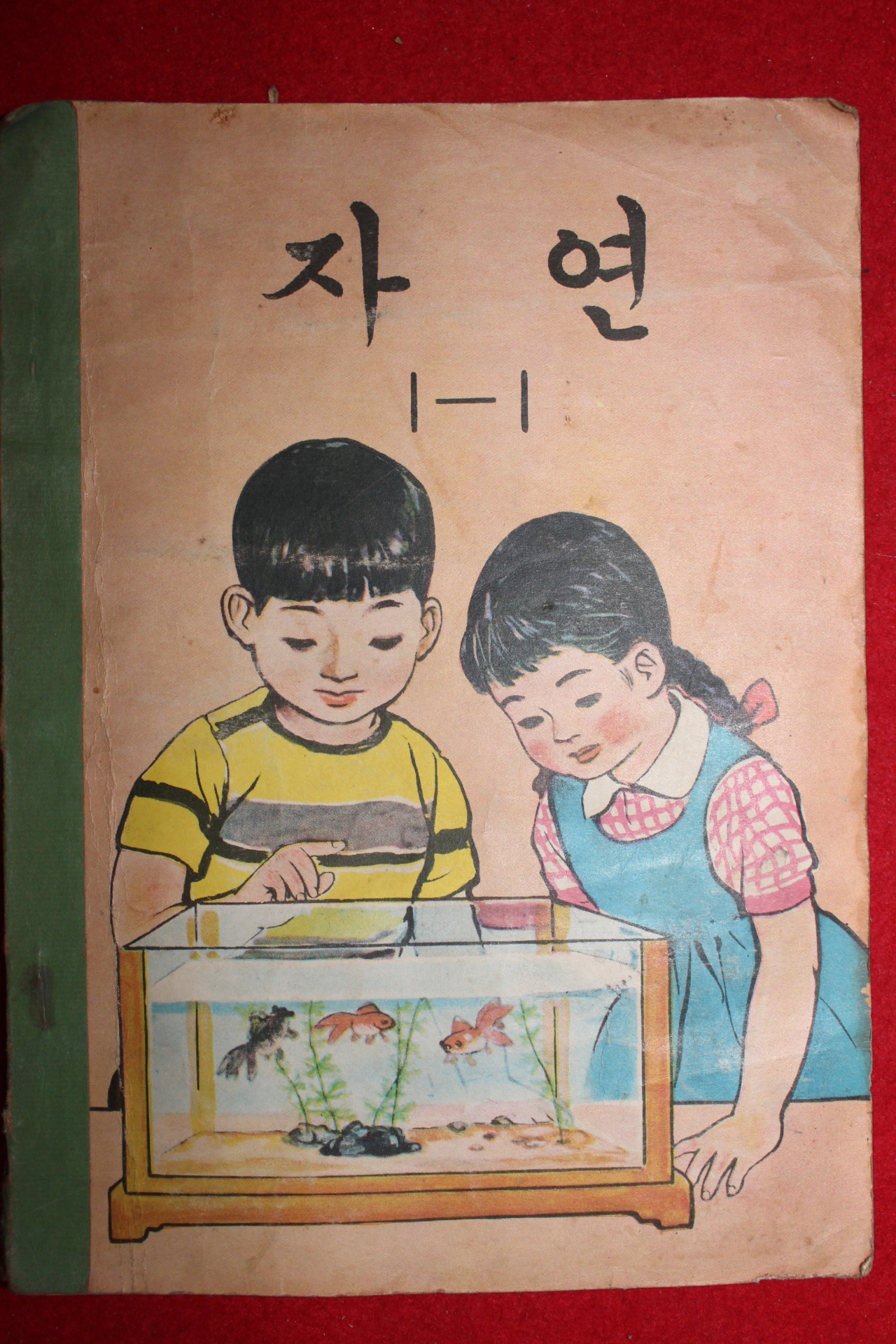 1969년 자연 1-1