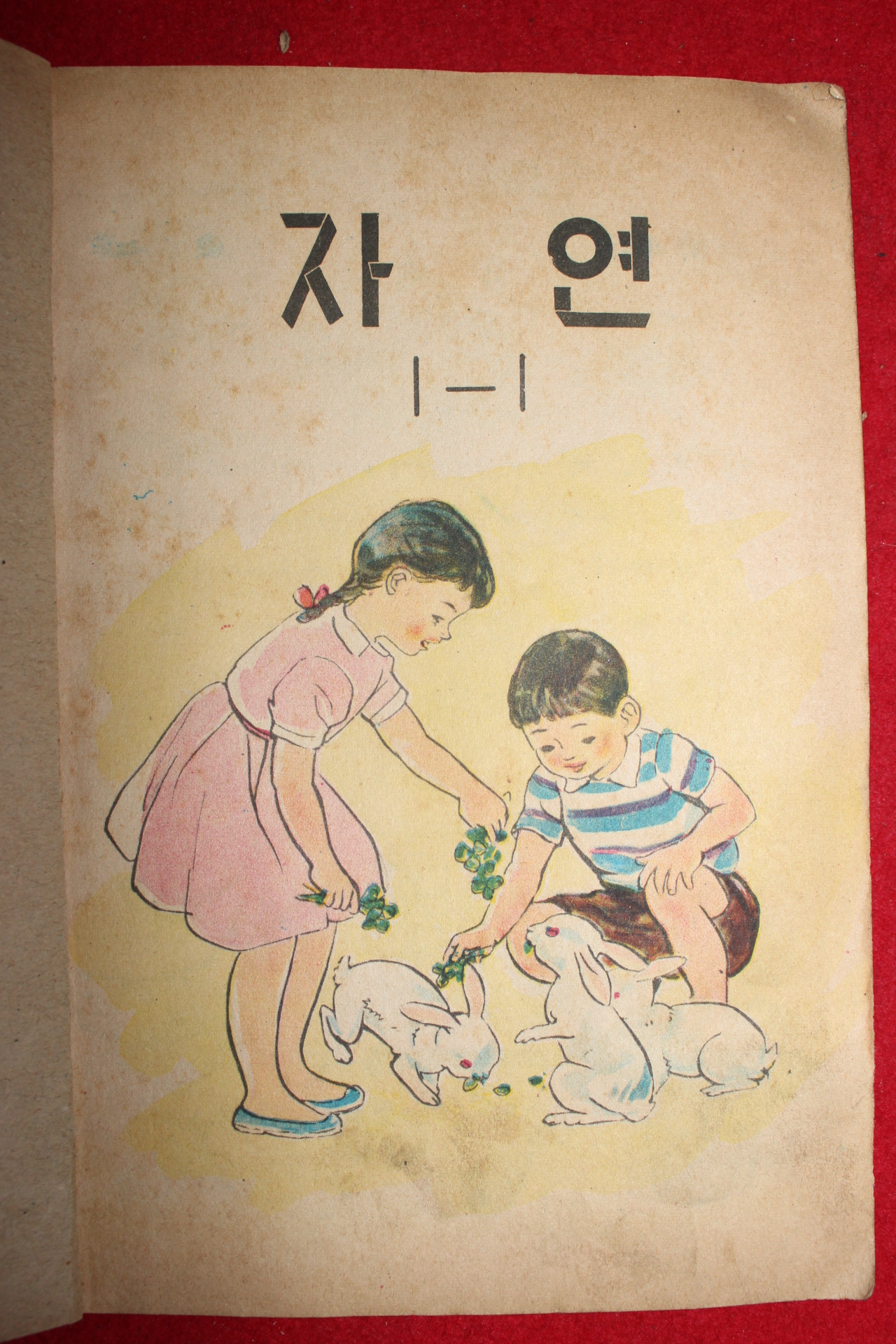 1969년 자연 1-1