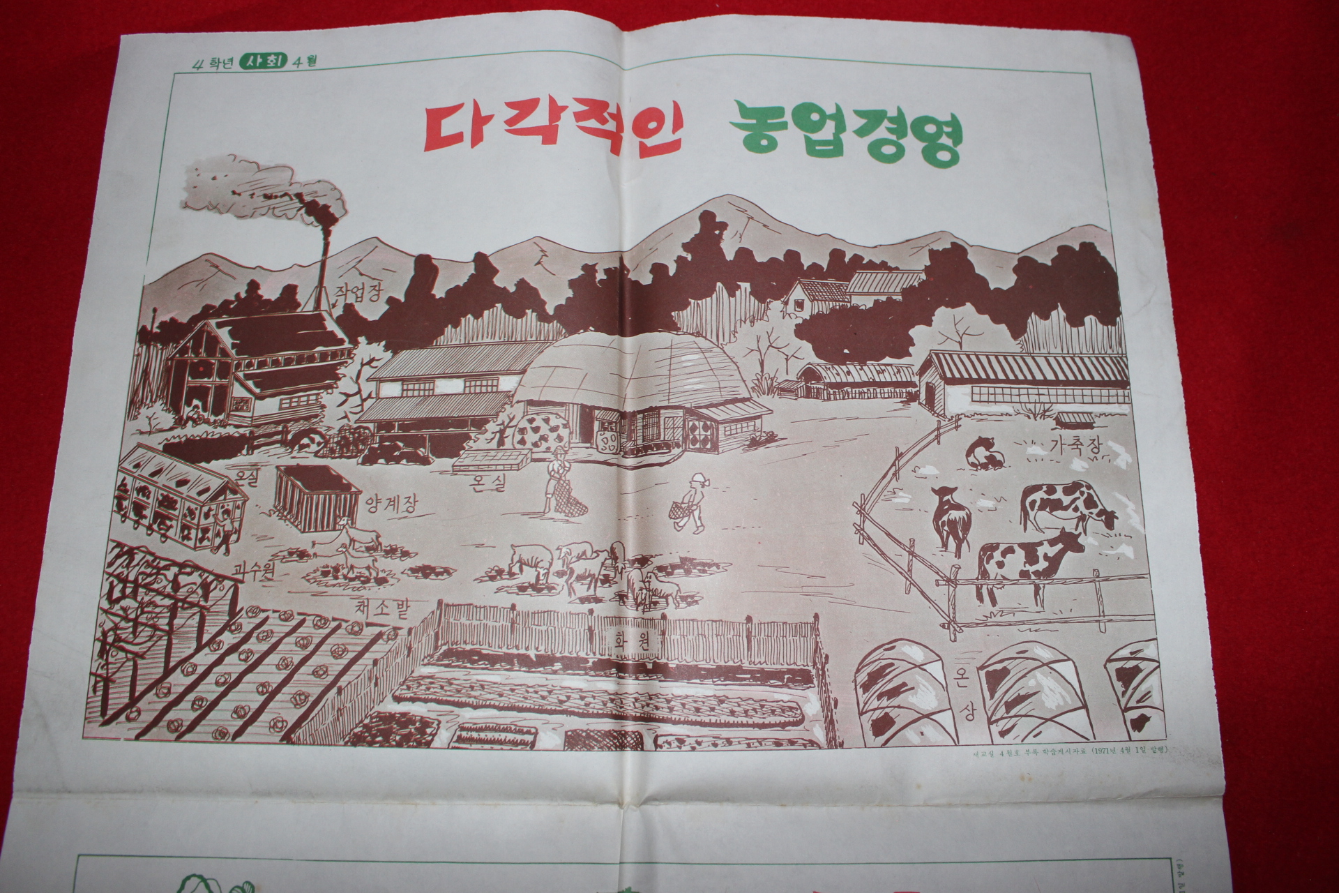 1971년 국민학교 학습게시자료 화보