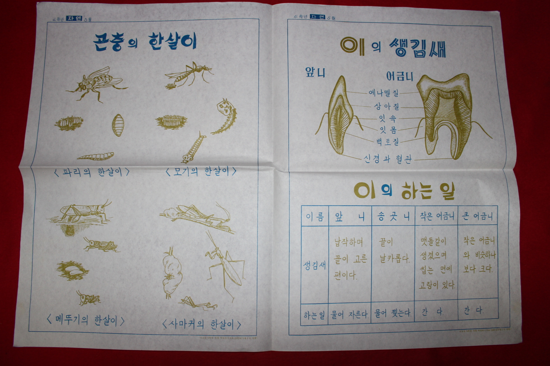 1971년 국민학교 학습게시자료 화보