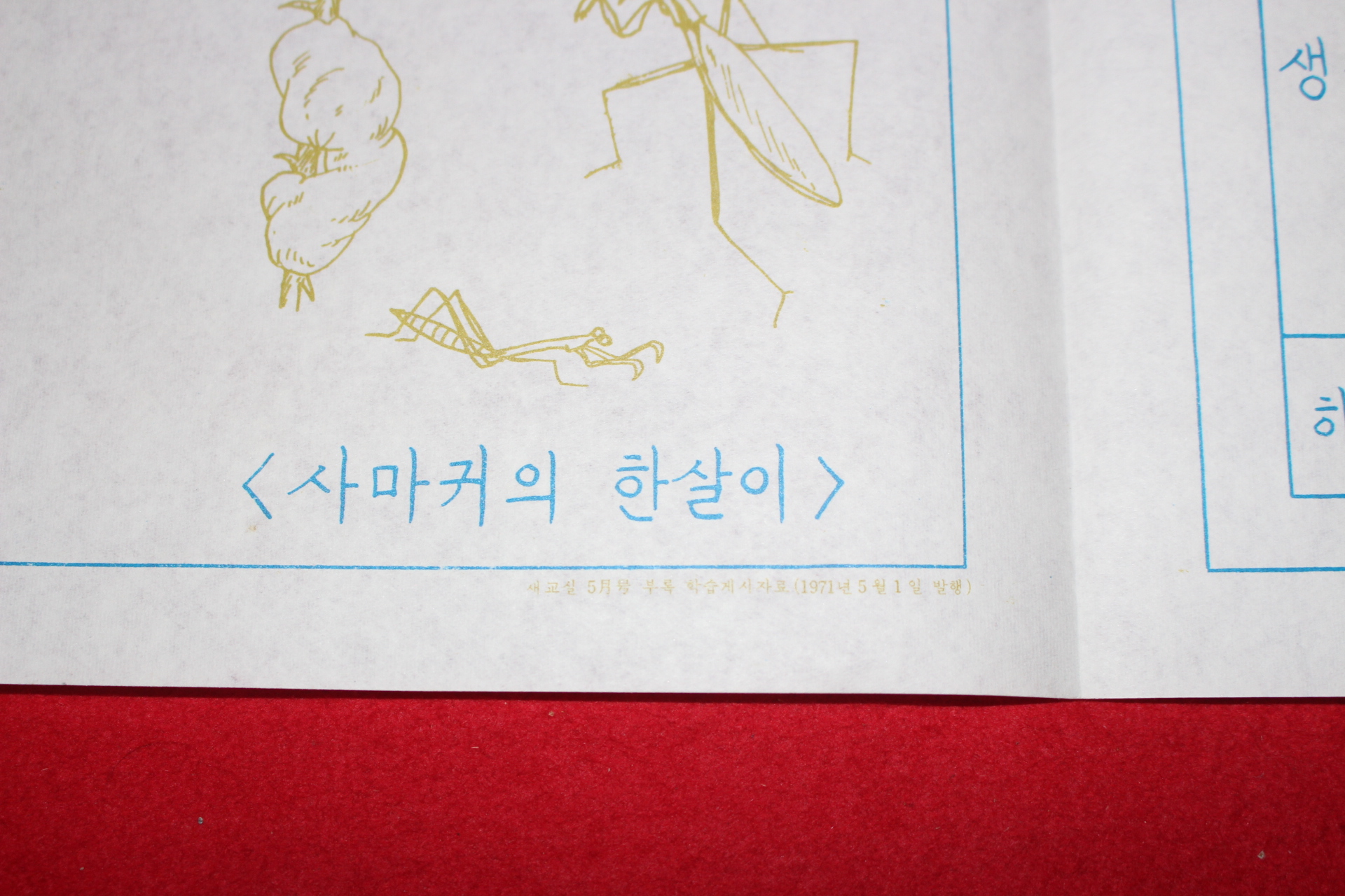 1971년 국민학교 학습게시자료 화보