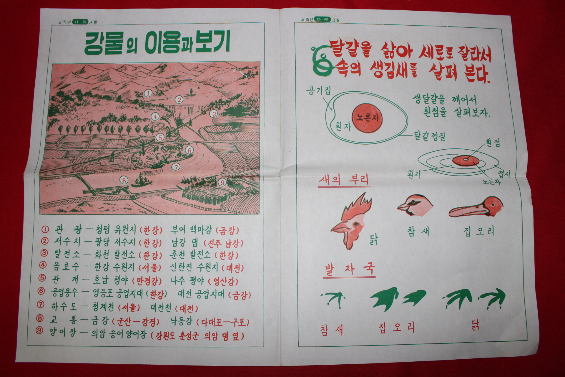 1971년 국민학교 학습게시자료 화보