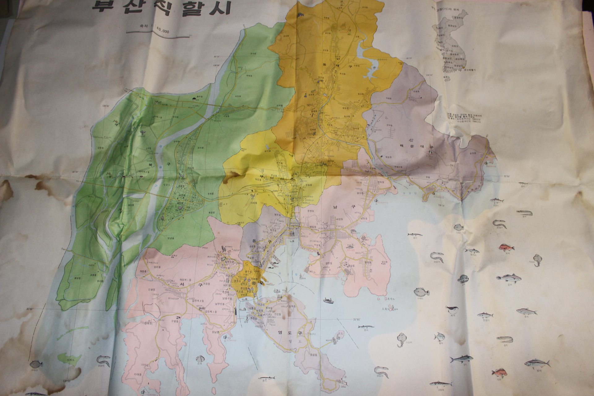 1980년 부산직할시 수산물그림이 있는 지도