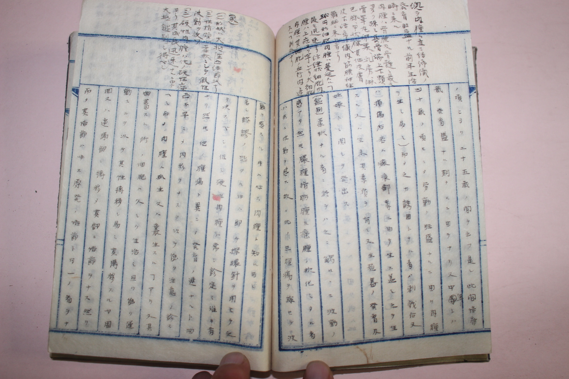 명치년간 일본필사본 의서 외과총론(外科總論) 2책