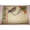 1934년(소화9년) 역사사진 11월호