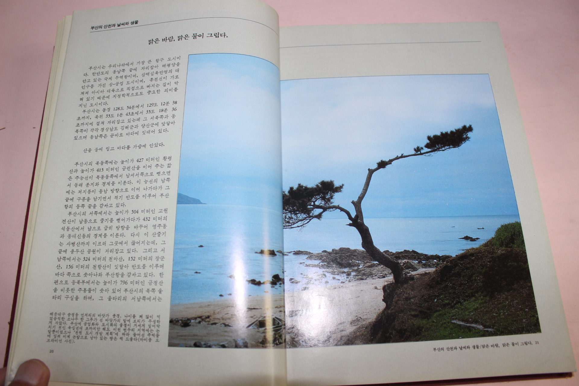 1983년 한국의 발견 부산