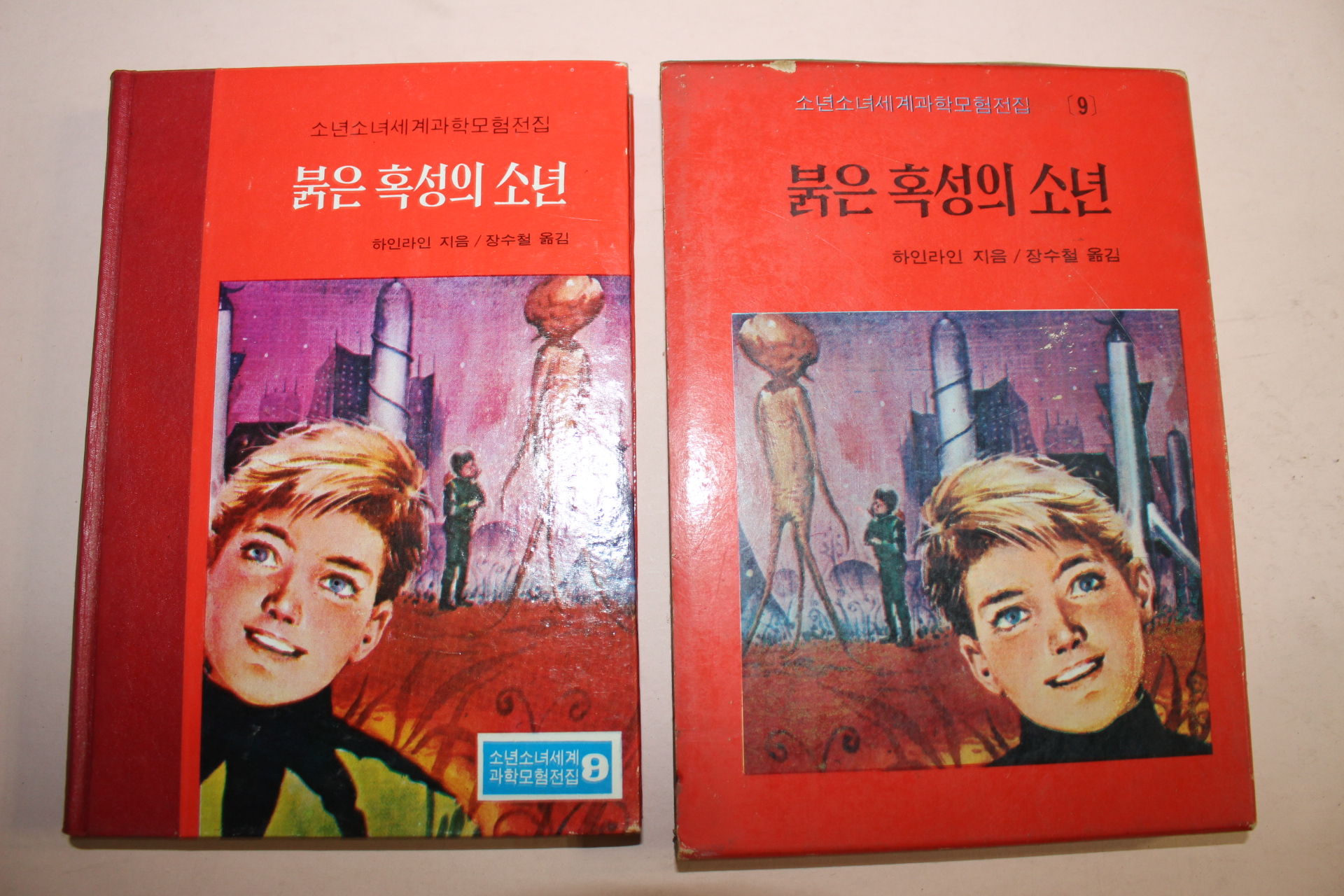 1973년 붉은 혹성의 소년
