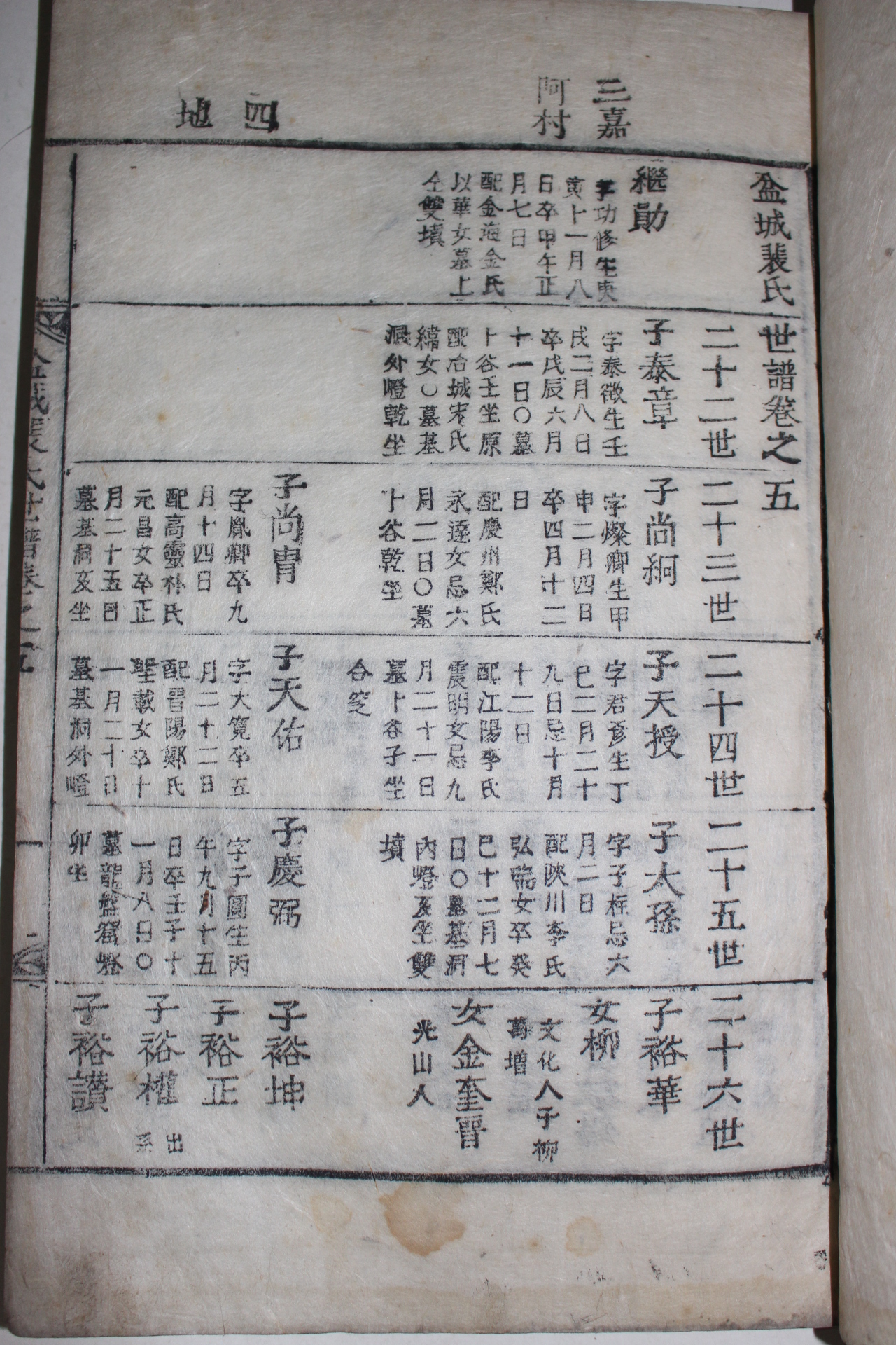 1862년(동치원년) 목활자본 분성배씨세보(盆城裵氏世譜) 5책
