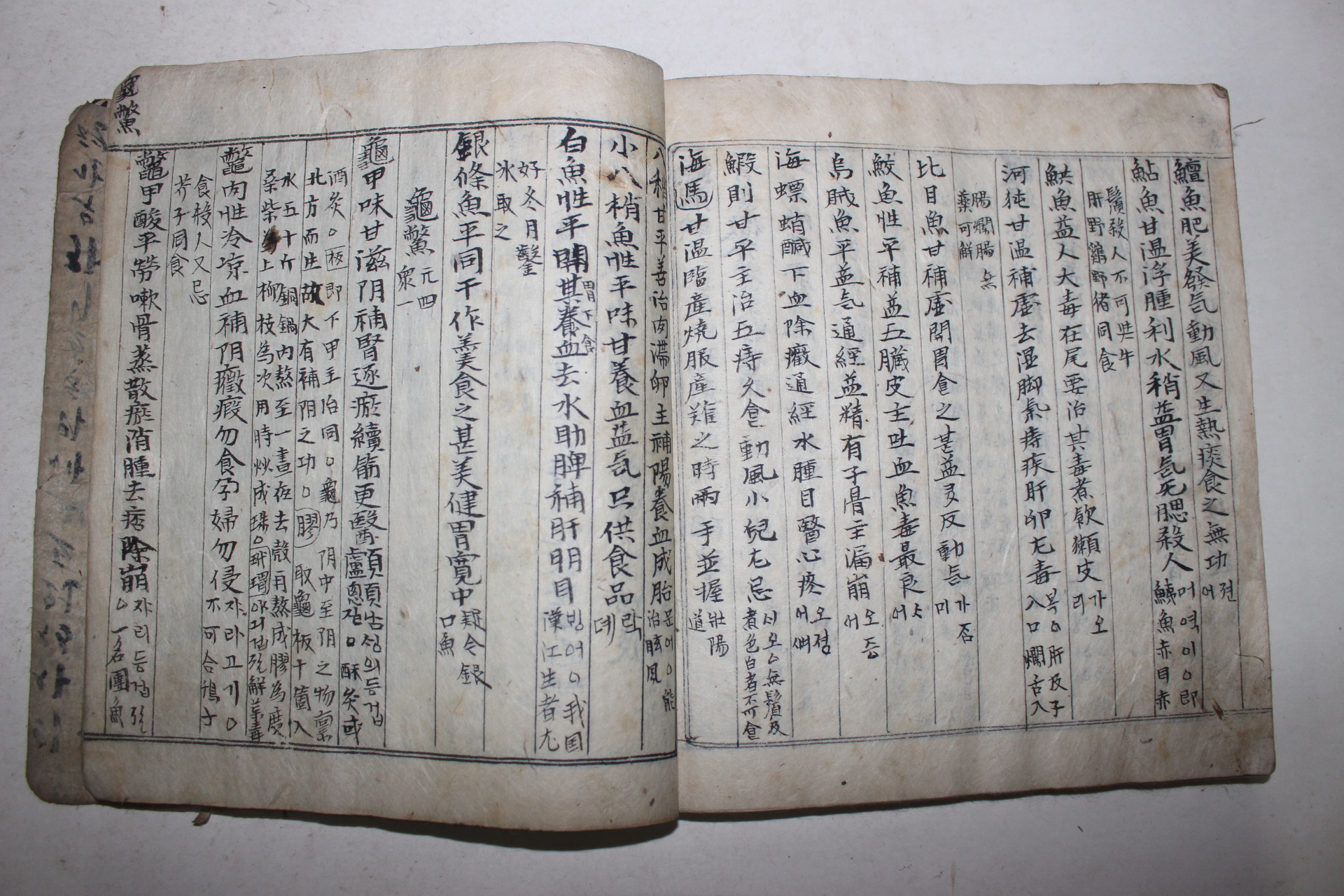 필사본 의서 의종손익(醫宗損益)
