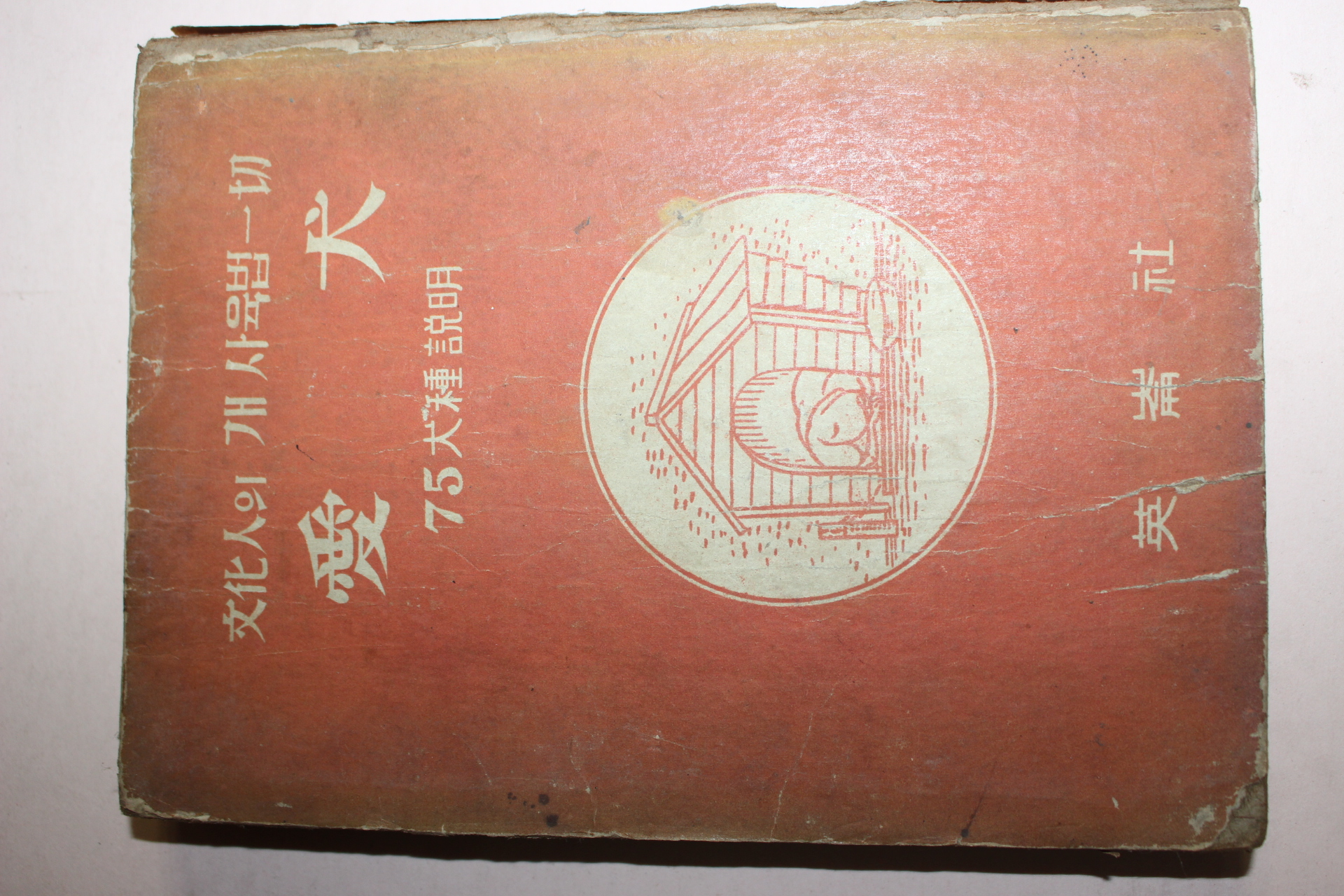 1959년 박용규 애견(愛犬)