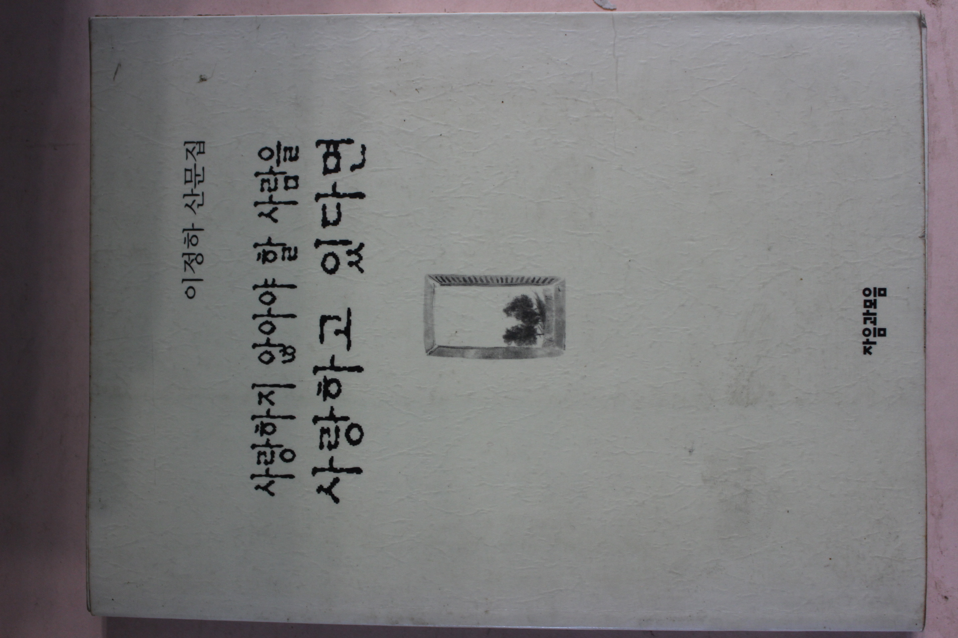 1999년 이정하산문집 사랑하지 않아야 할 사람을 사랑하고 있다면