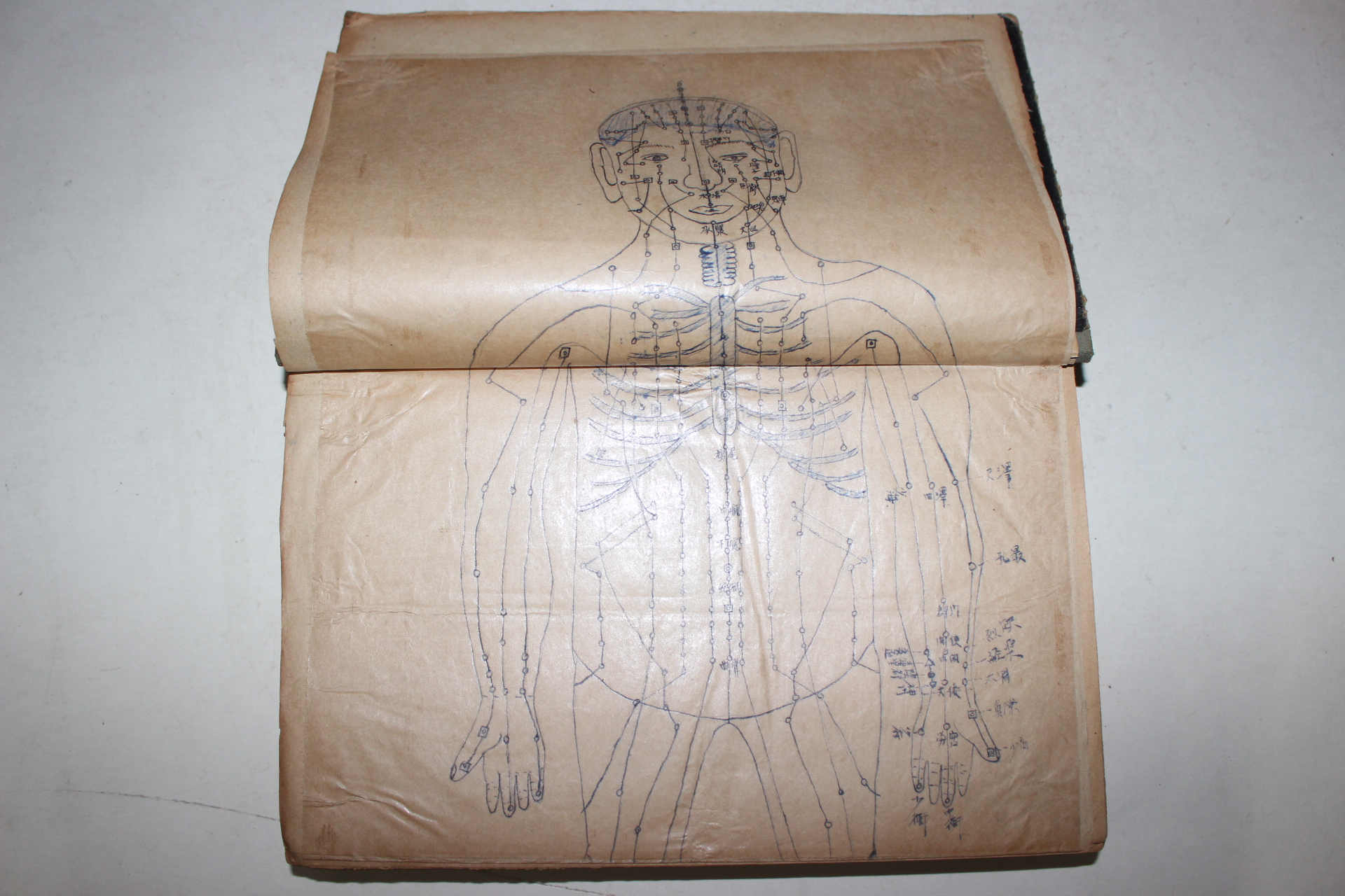 1950년대 철필본 의서 침구총론(鍼灸總論) 합본 1책완질