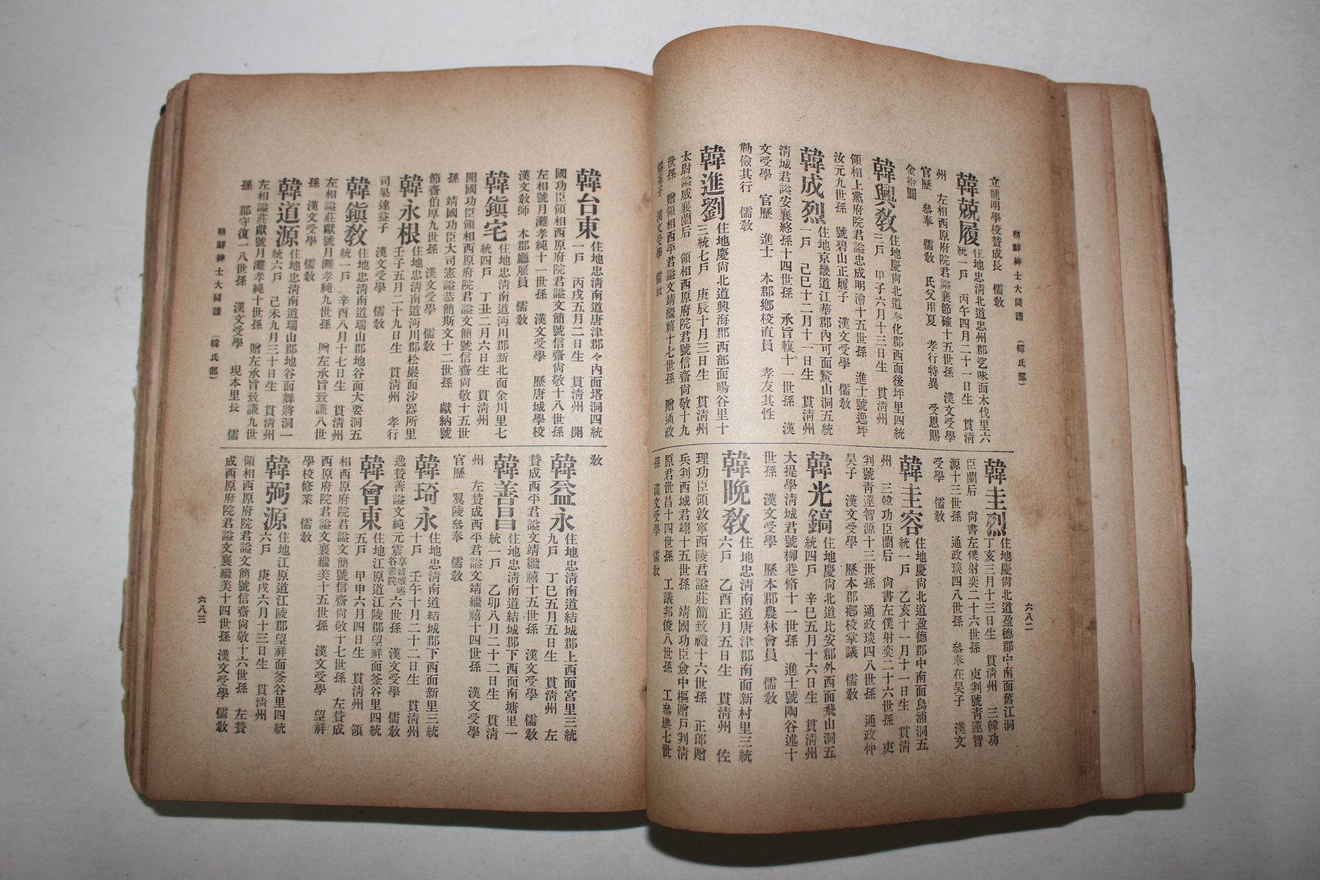 1913년 조선신사대동보(朝鮮紳士大同譜) 1책완질