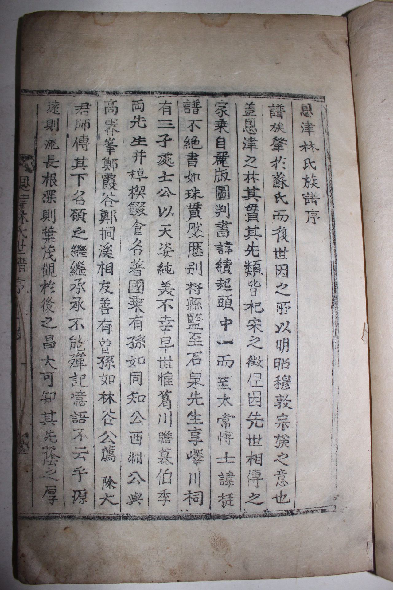 1895년 목활자본 은진임씨세보(恩津林氏世譜) 6권6책완질