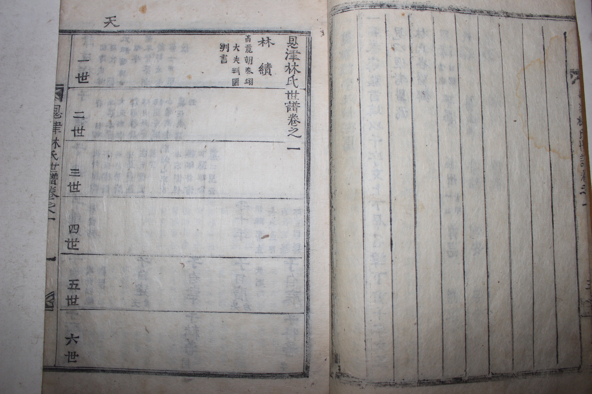 1895년 목활자본 은진임씨세보(恩津林氏世譜) 6권6책완질
