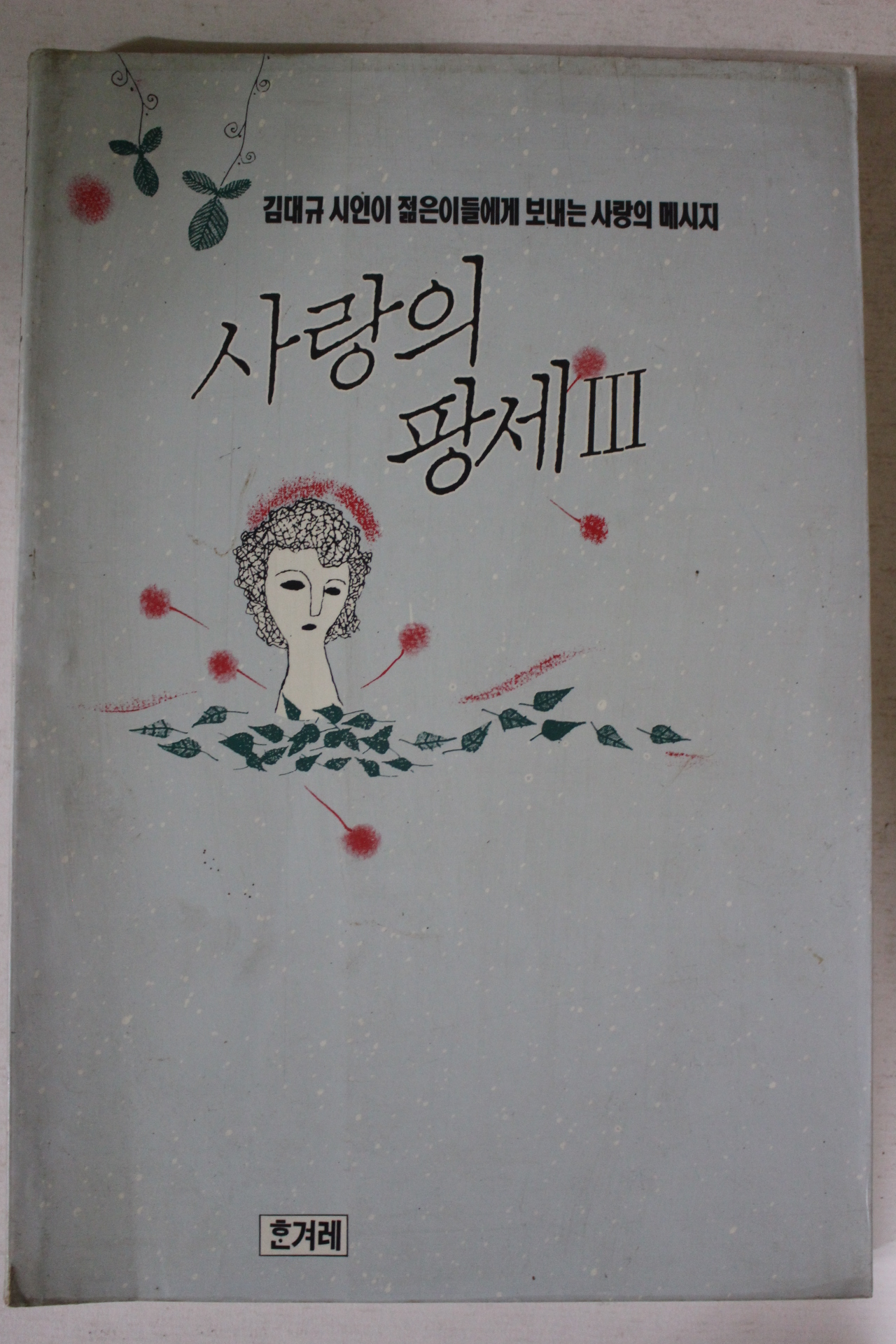 1991년 김대규 사랑의 팡세3