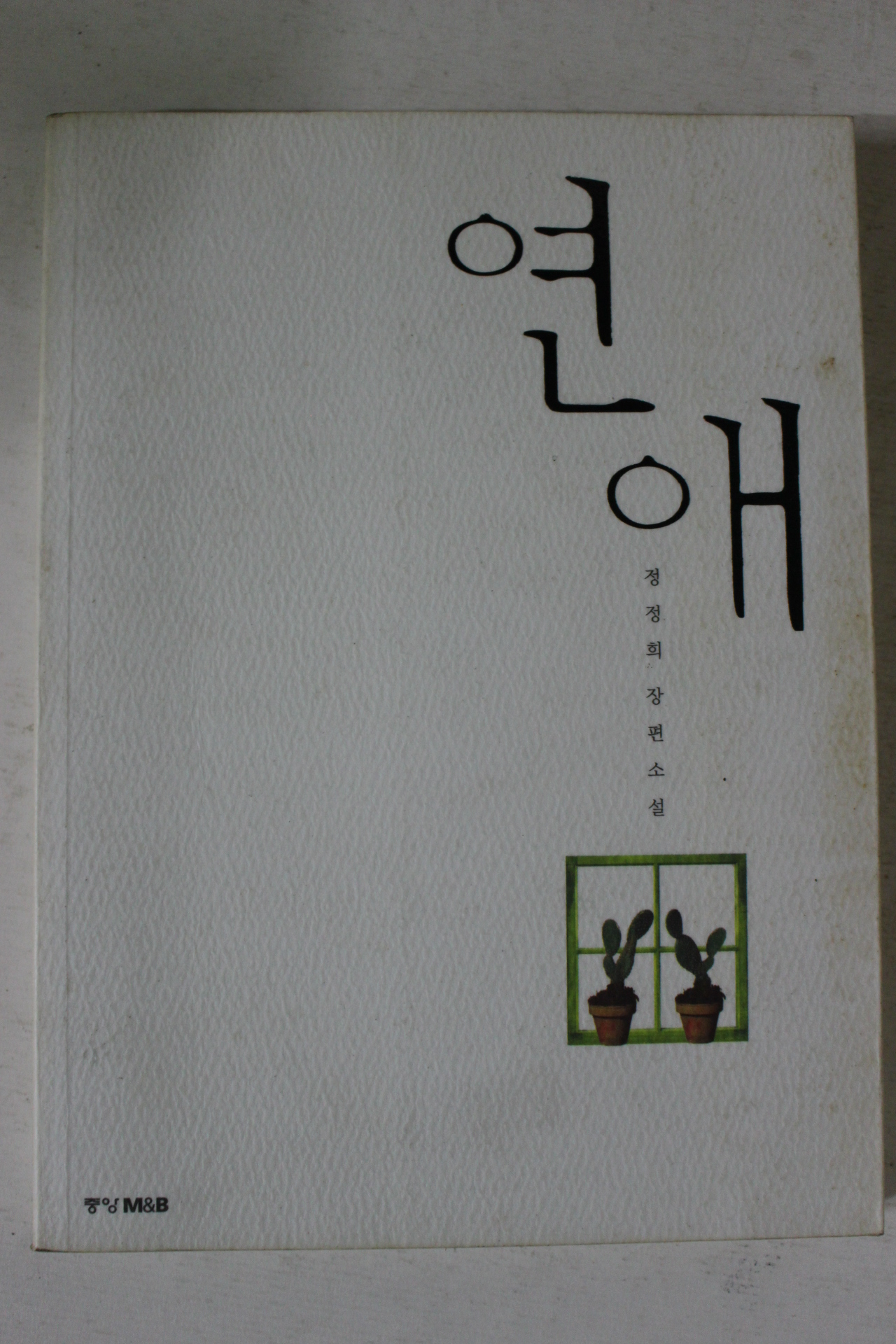 1999년 정정희장편소설 연애