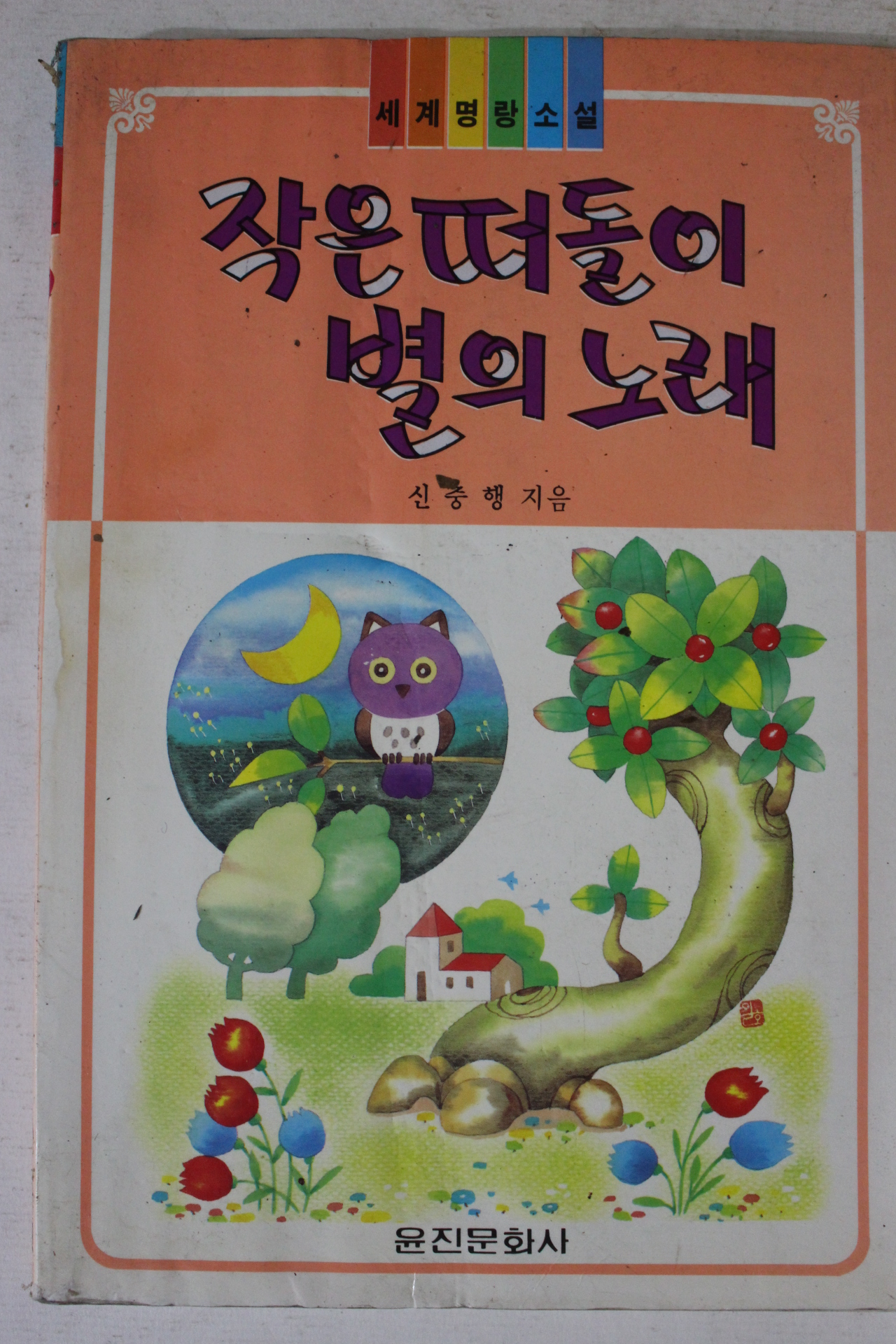 1994년 신충행 작은 떠돌이 별의 노래