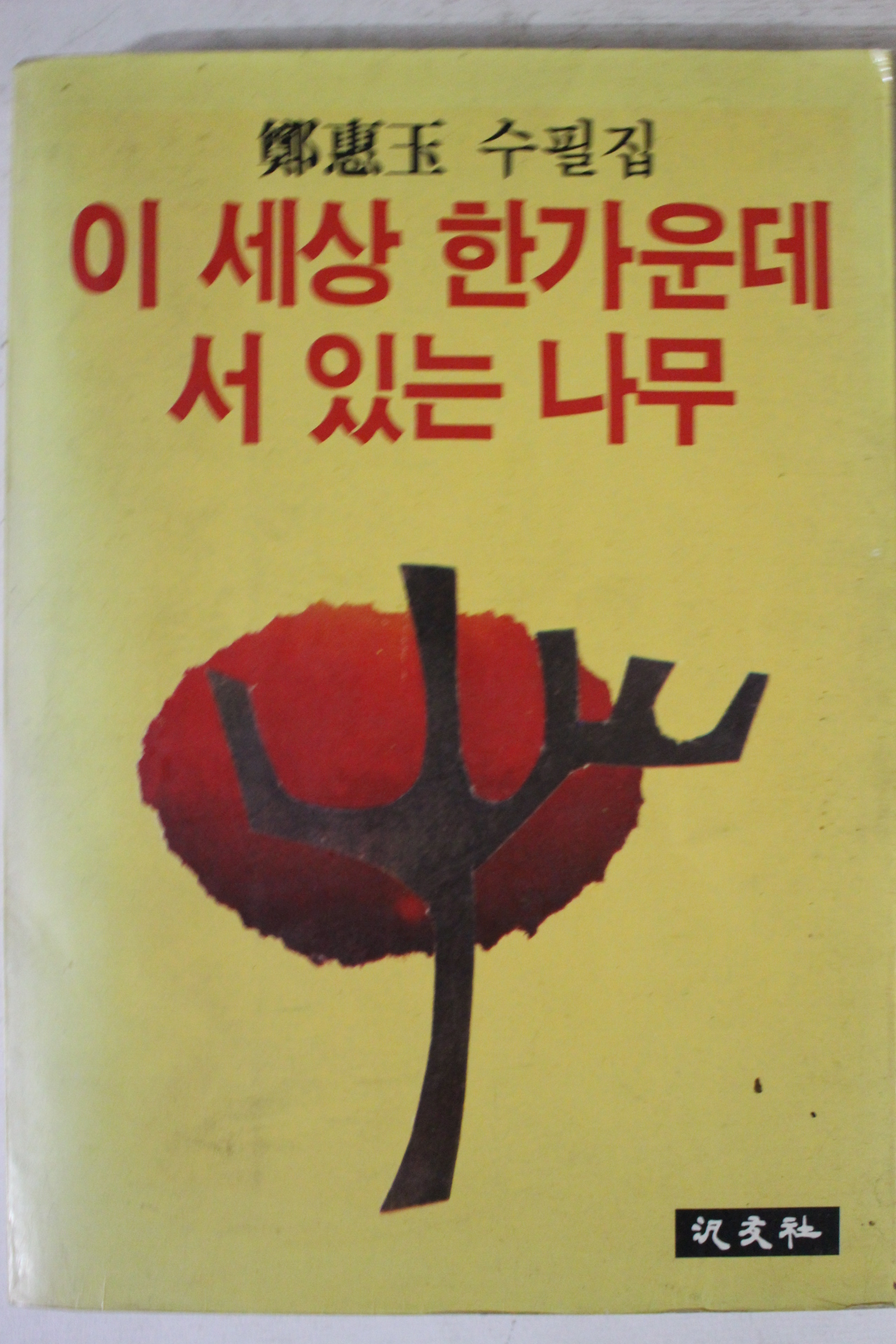 1982년초판 정혜옥수필집 이세상 한가운데 서있는 나무