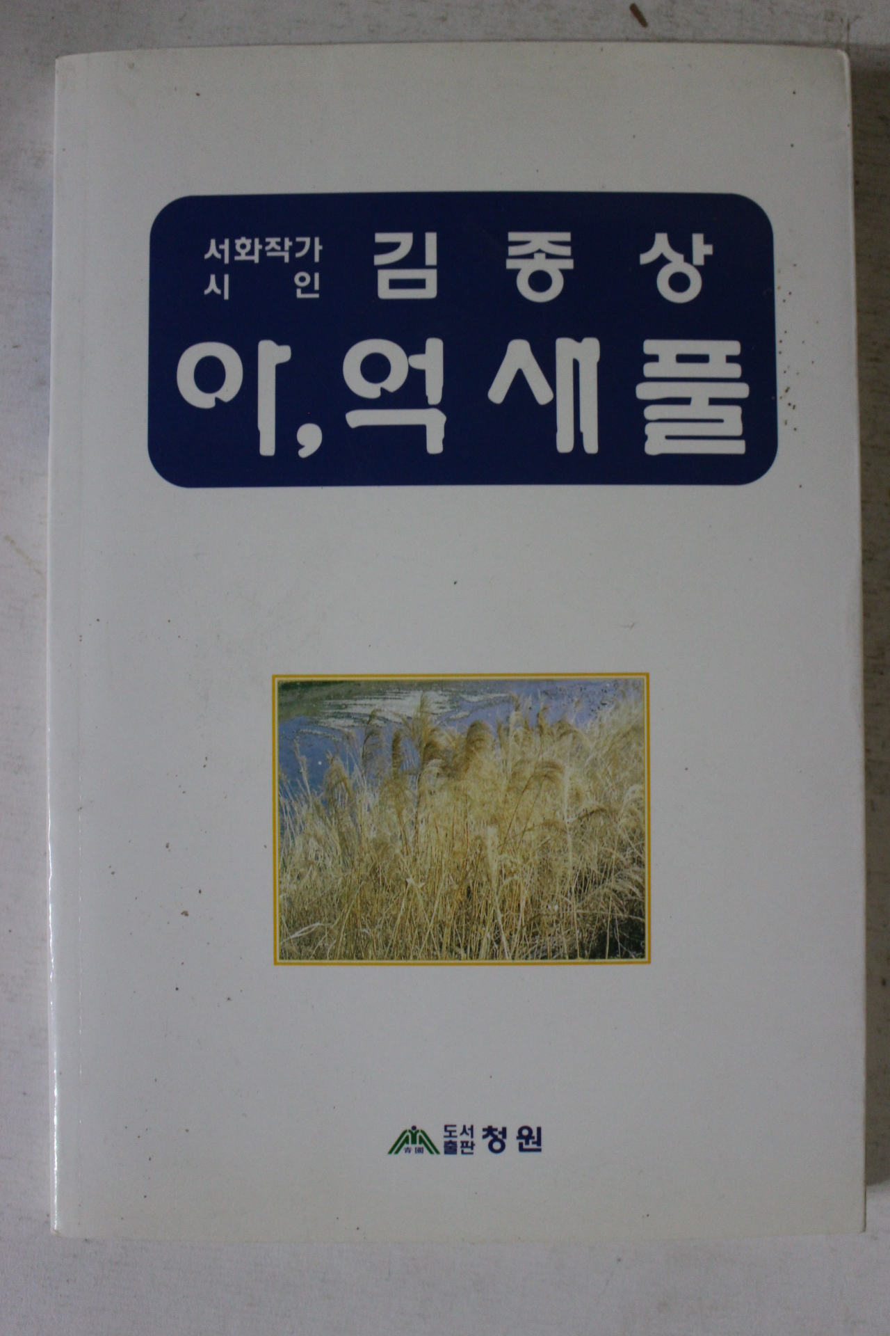 1999년 서화작가시인 김종상 아 억새풀