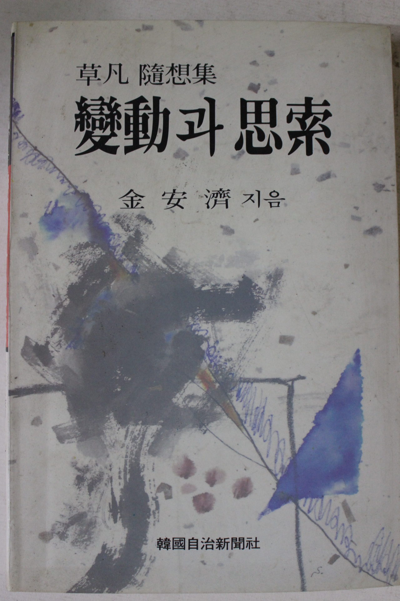 1990년 김안제  변동과 사소