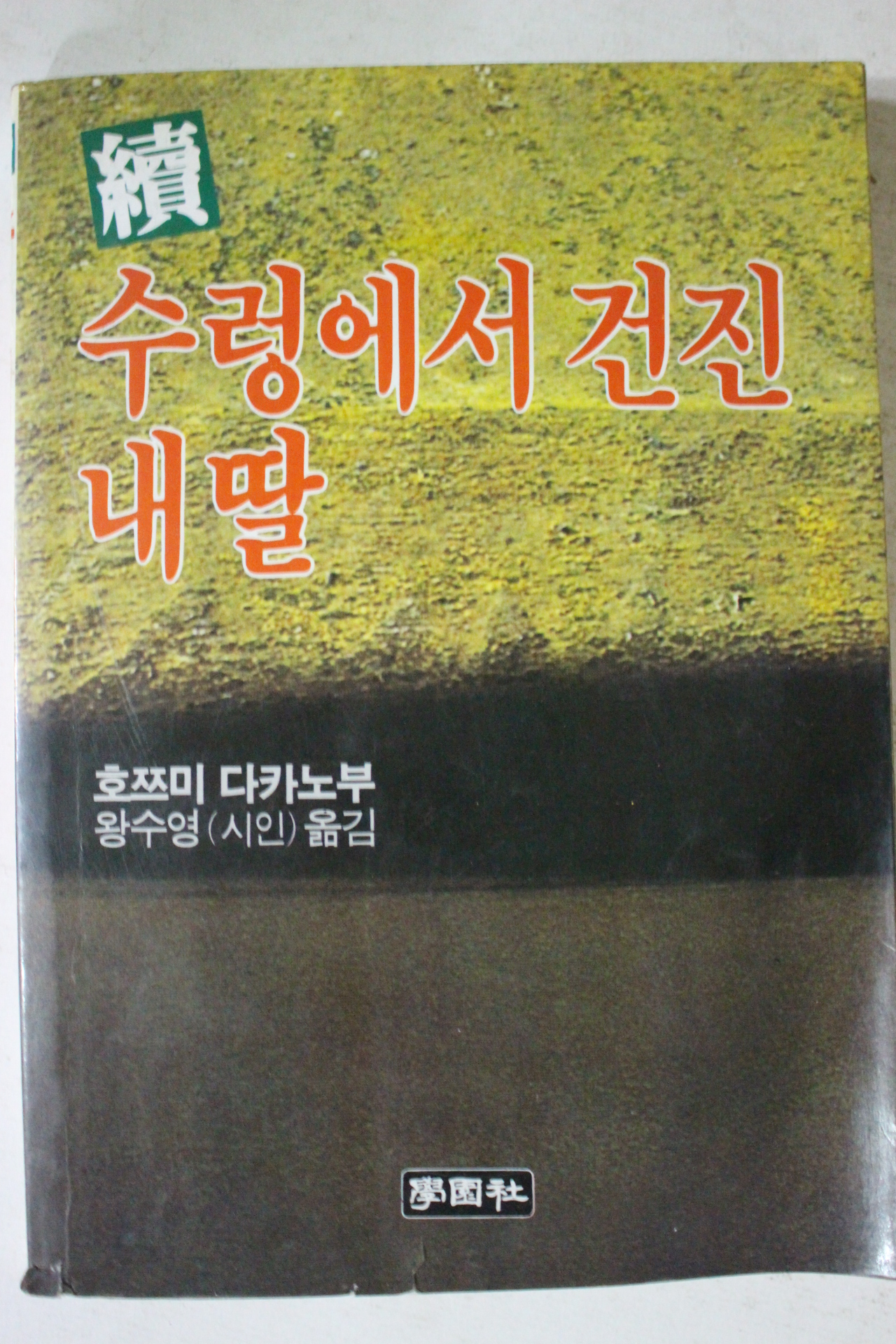 1984년 호쯔미 다카노부 속 수렁에서 건진 내딸