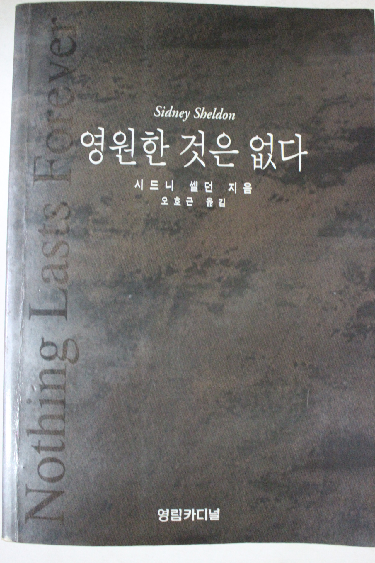 1995년 시드니 셀던 영원한 것은 없다