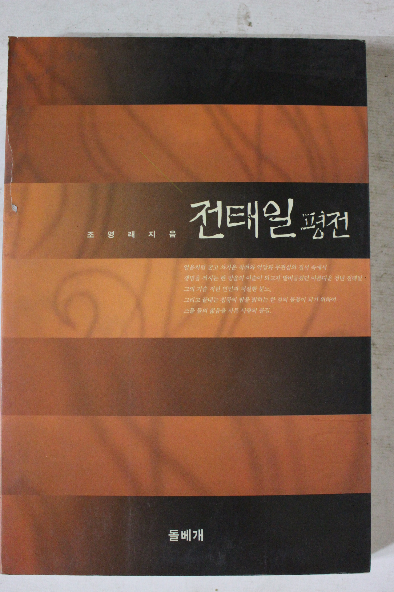 1999년 조영래 전태일평전