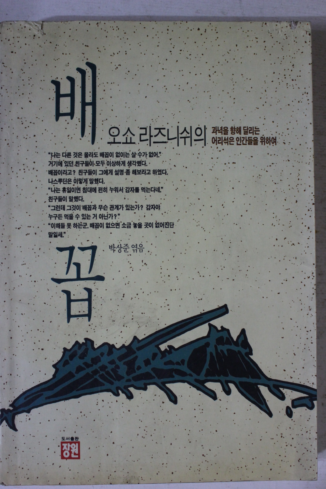 1992년 배꼽