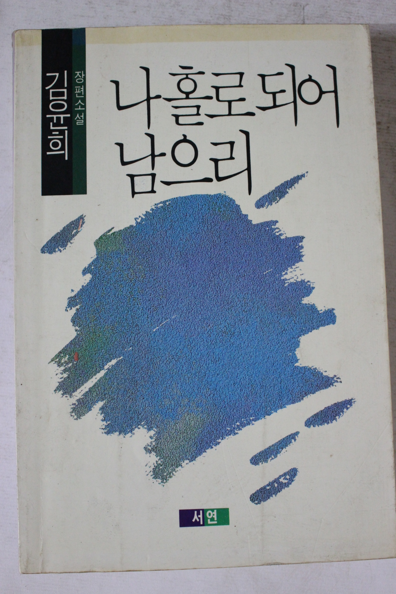 1990년 김윤희 소설 나홀로되어 남으리