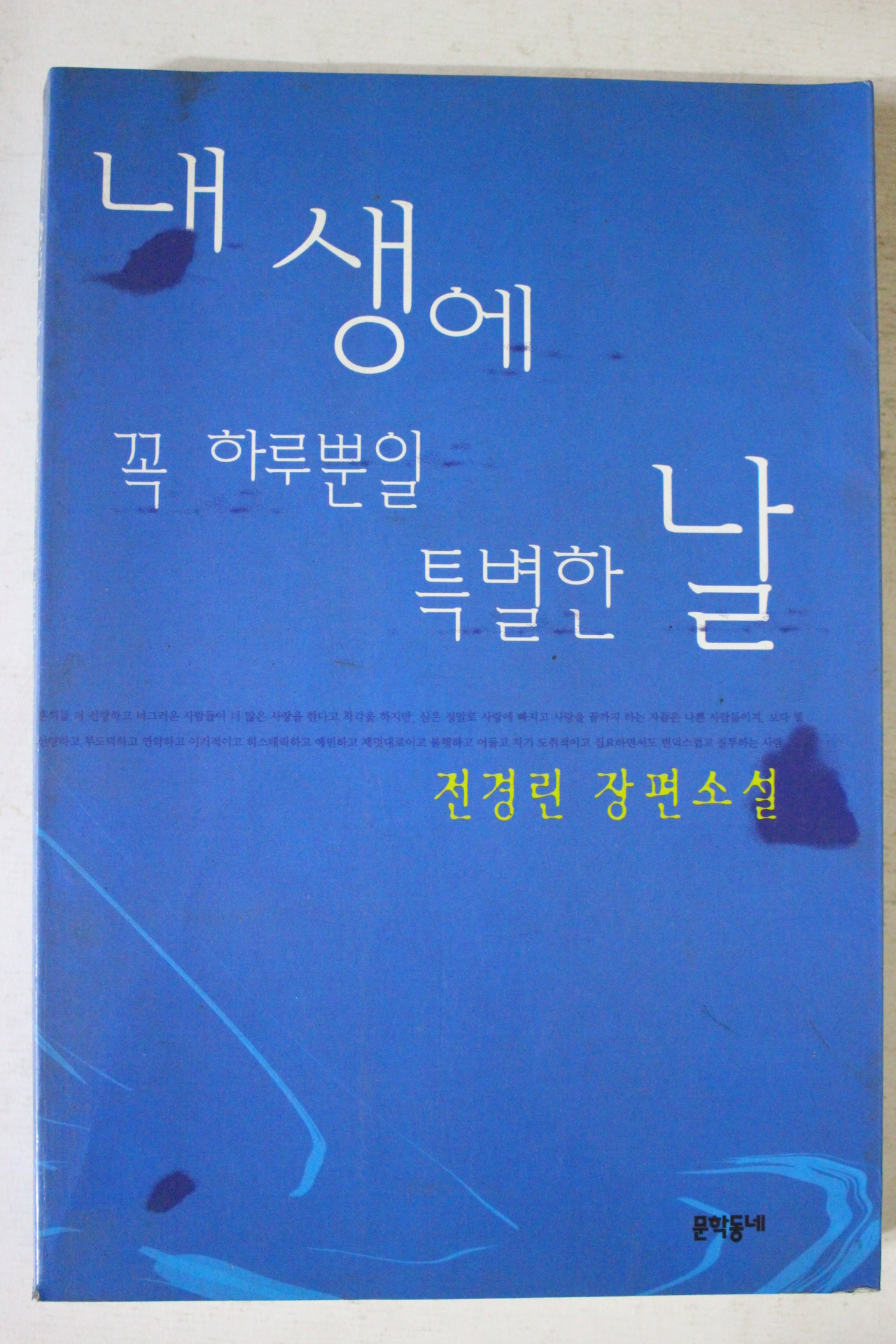 1999년 전경린 장편소설 내생에 꼭 하루뿐일 특별한 날