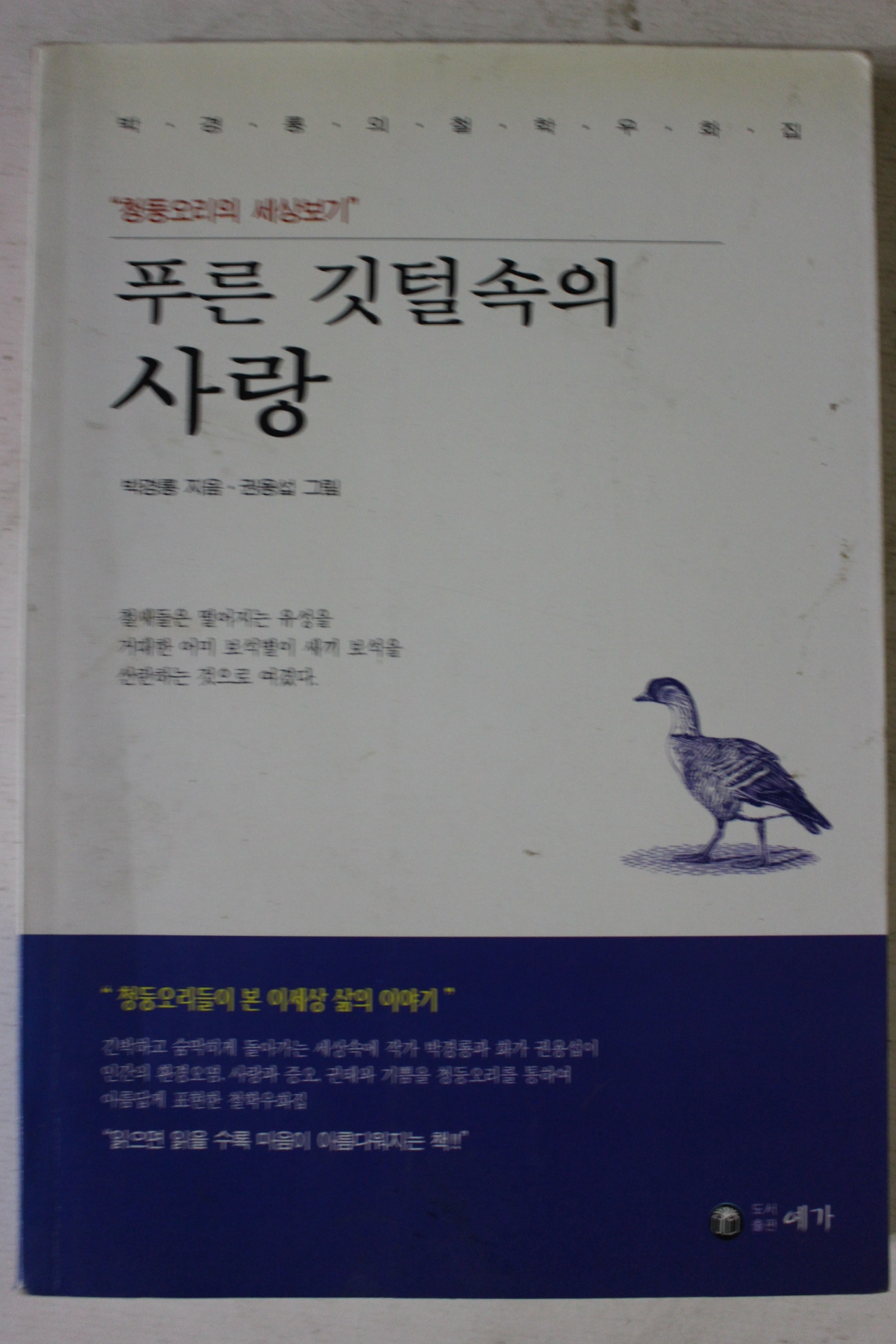 2000년초판 박경룡 푸른 깃털속의 사랑